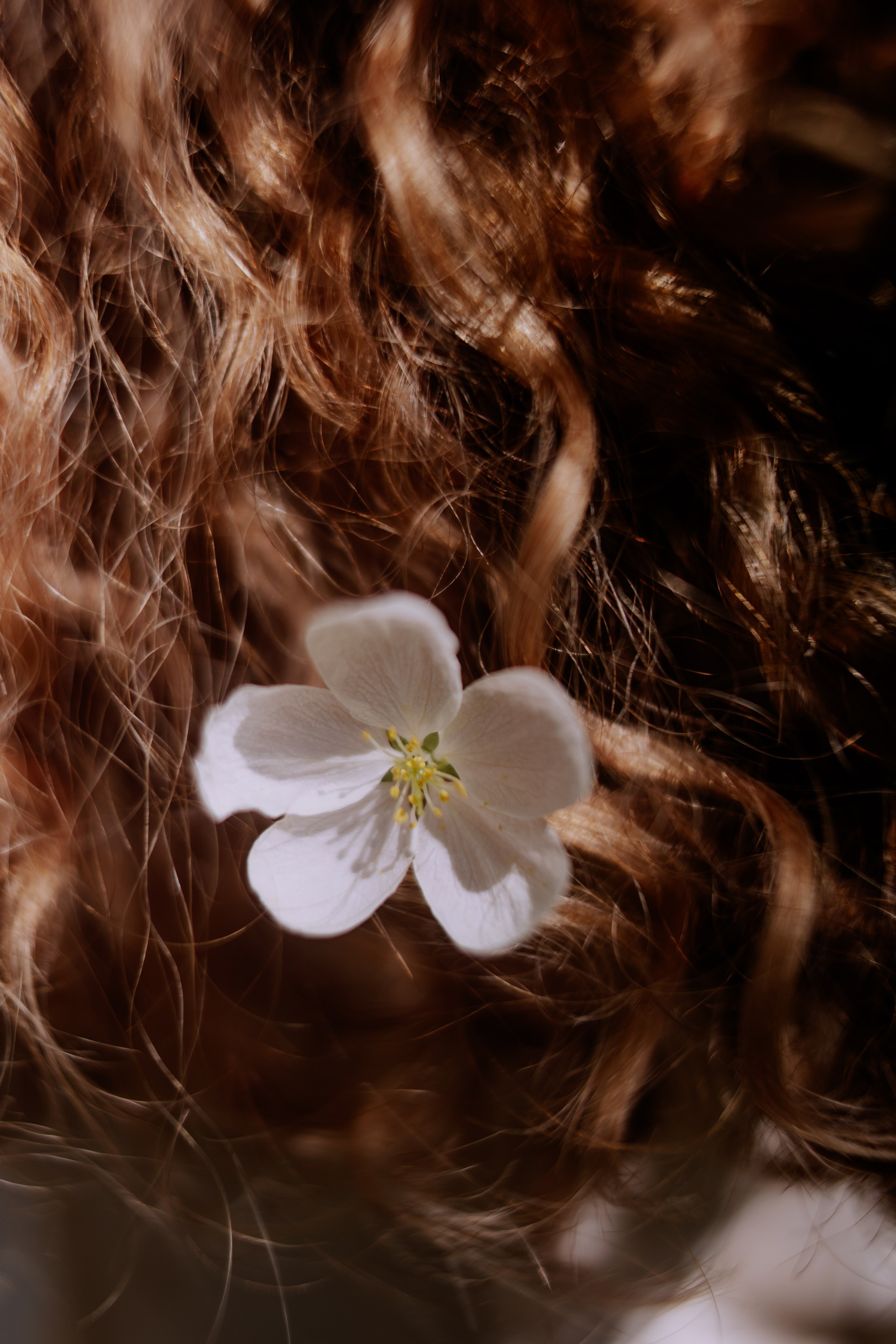 Катя, май. Фотограф Шелудкова Яна, город Тюмень