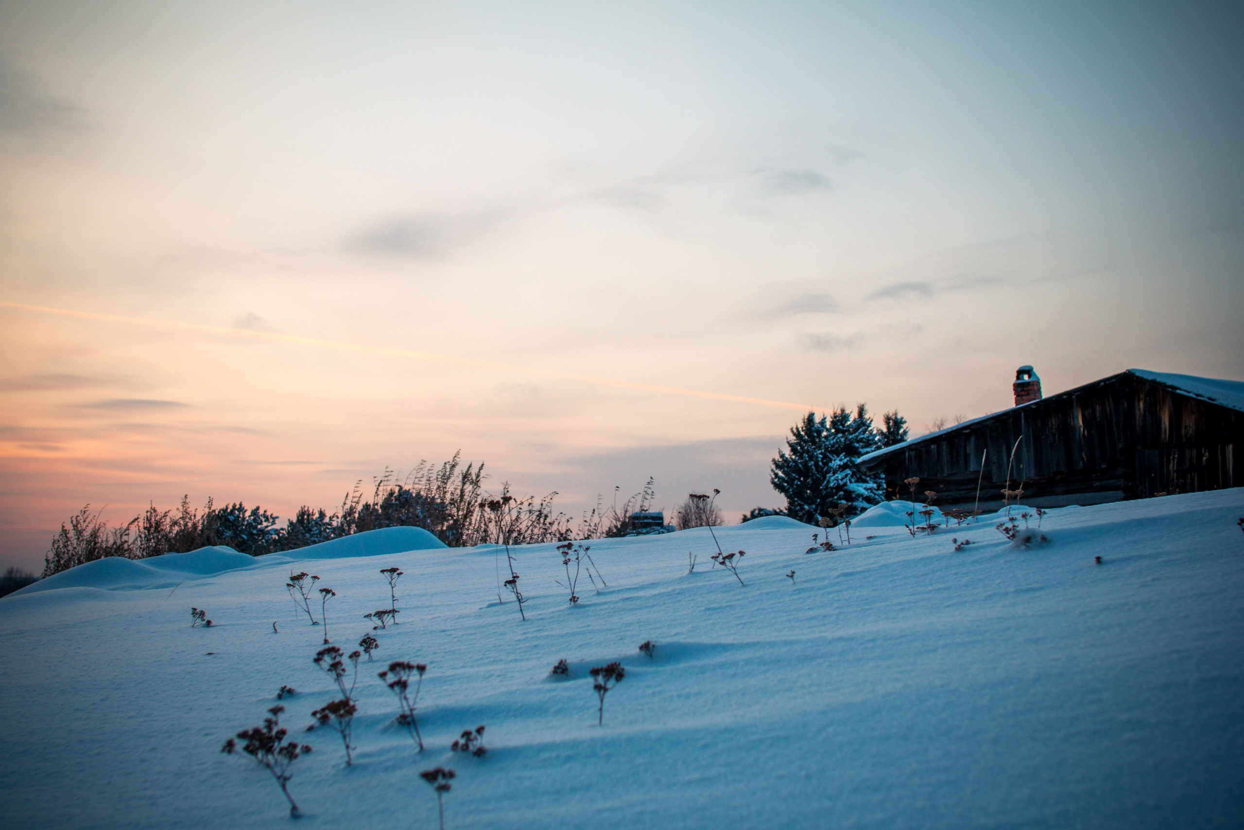 Зима. Ваш фотограф Северск | Томск