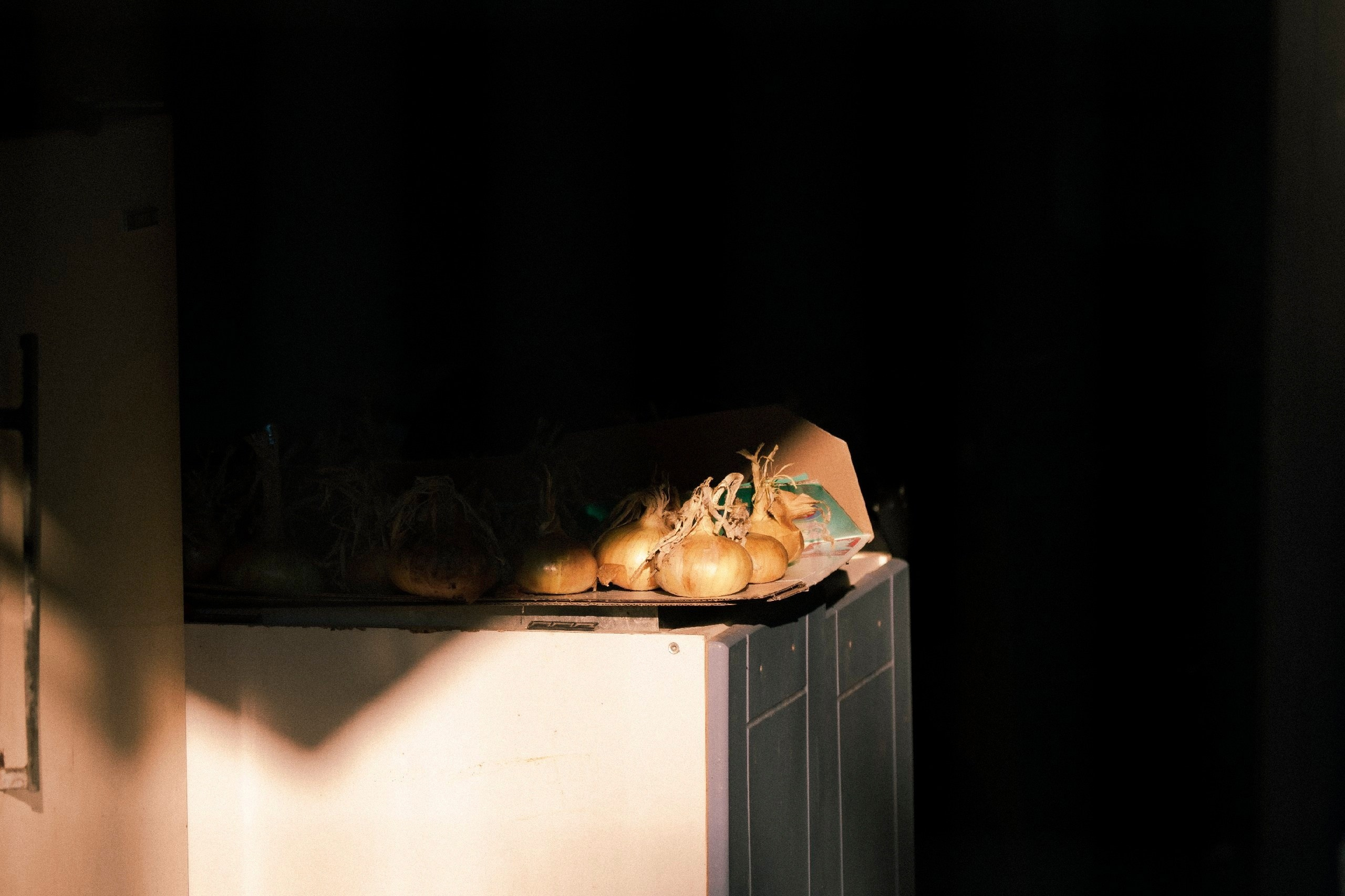 Цветные фотографии. Фотографии Лены Соколовой