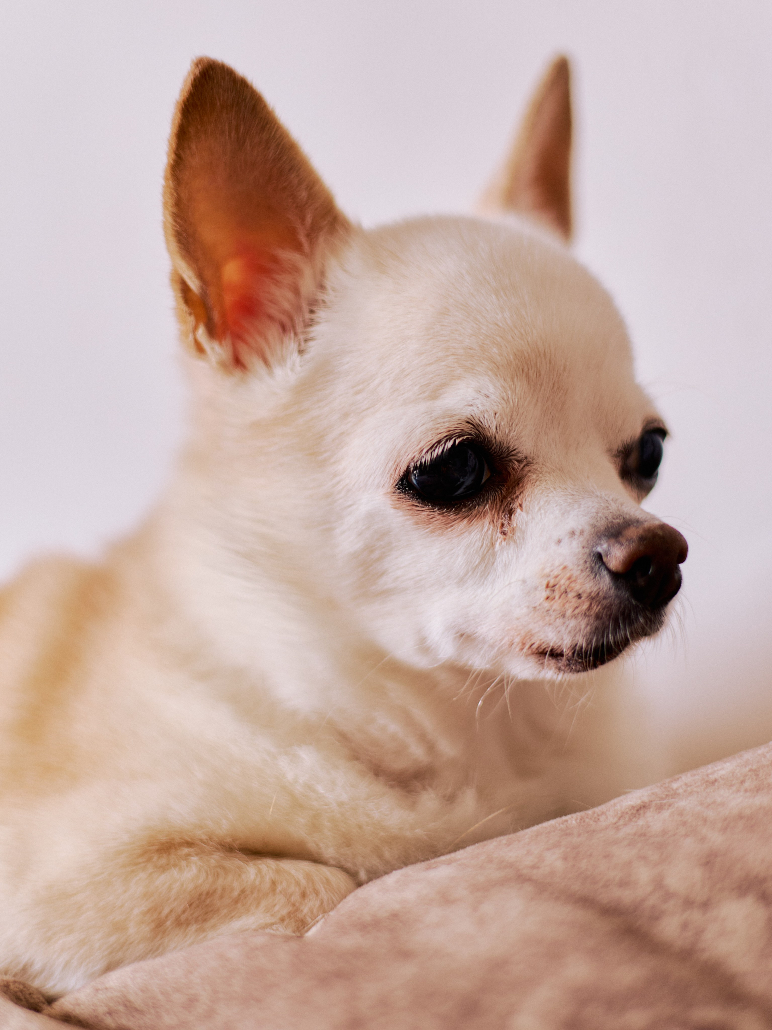 Другое 3. Jorgis Talè — photographer, kind person, teacher of arts and other mag