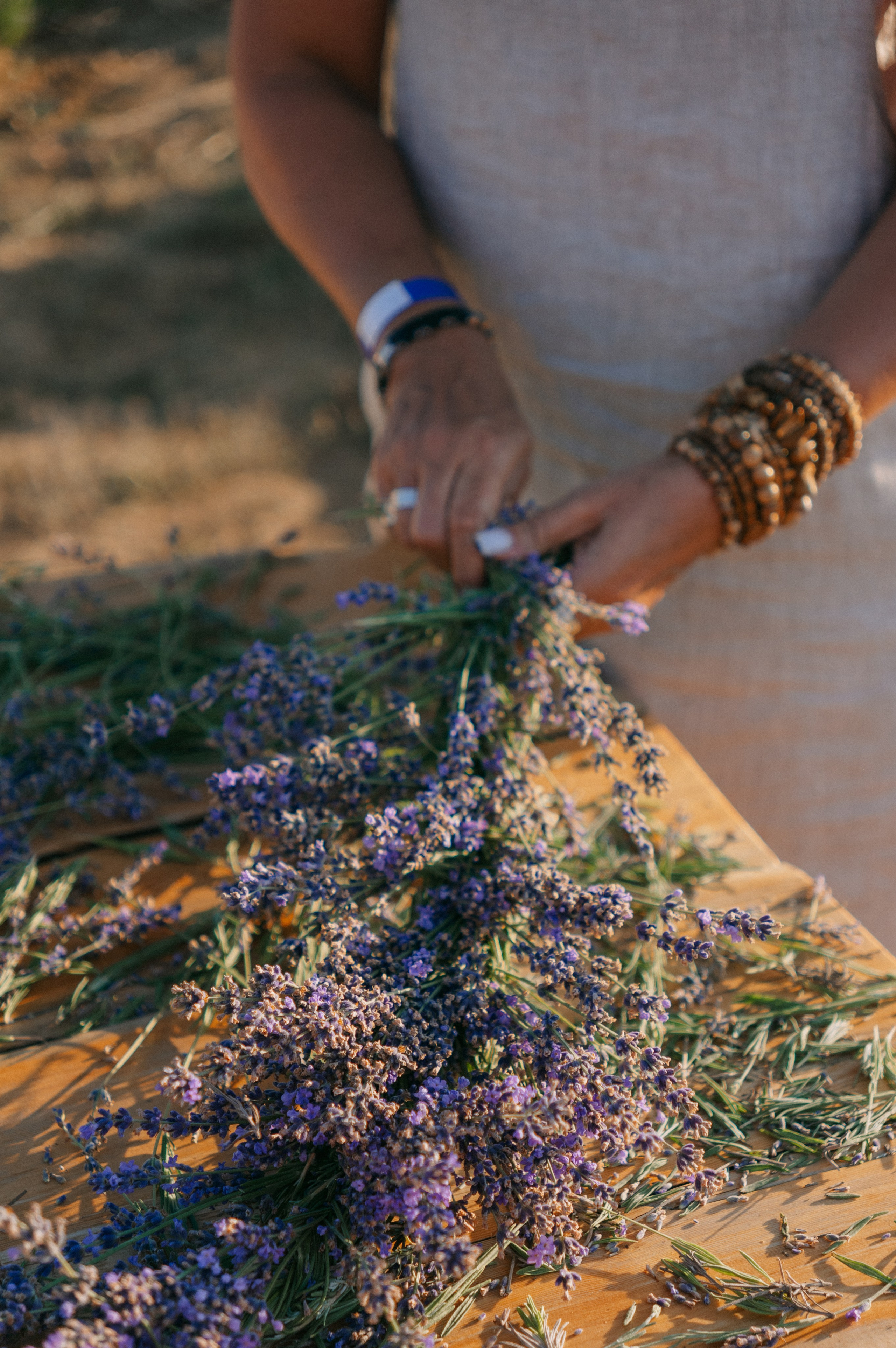 Сбор урожая | лавандовая ферма Viva Lavanda. Обо мне