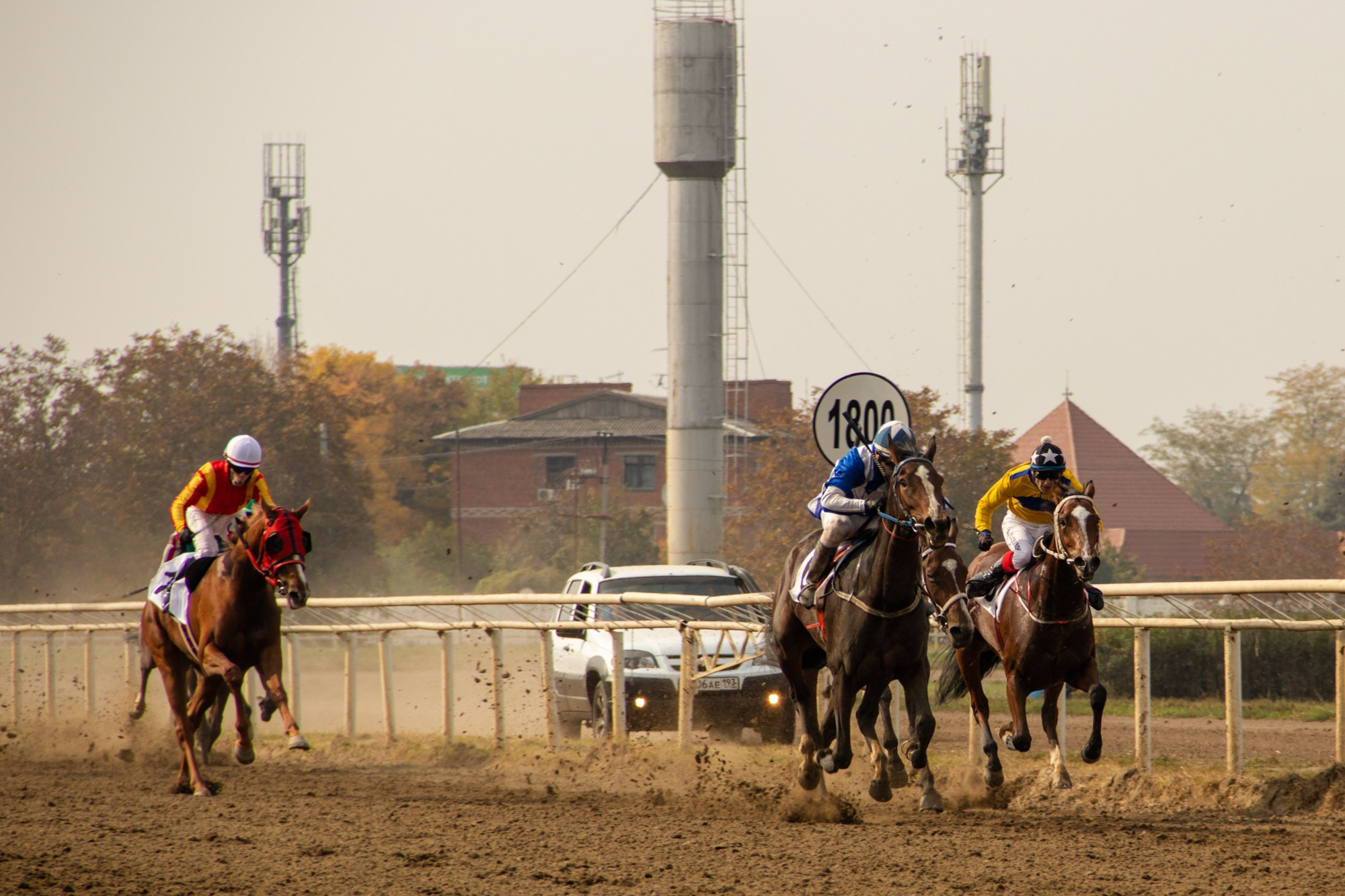 Закрытие скакового сезона на Краснодарском ипподроме. Репортажный, промышленный и маркетплейс-фотограф Дмитрий Чернат