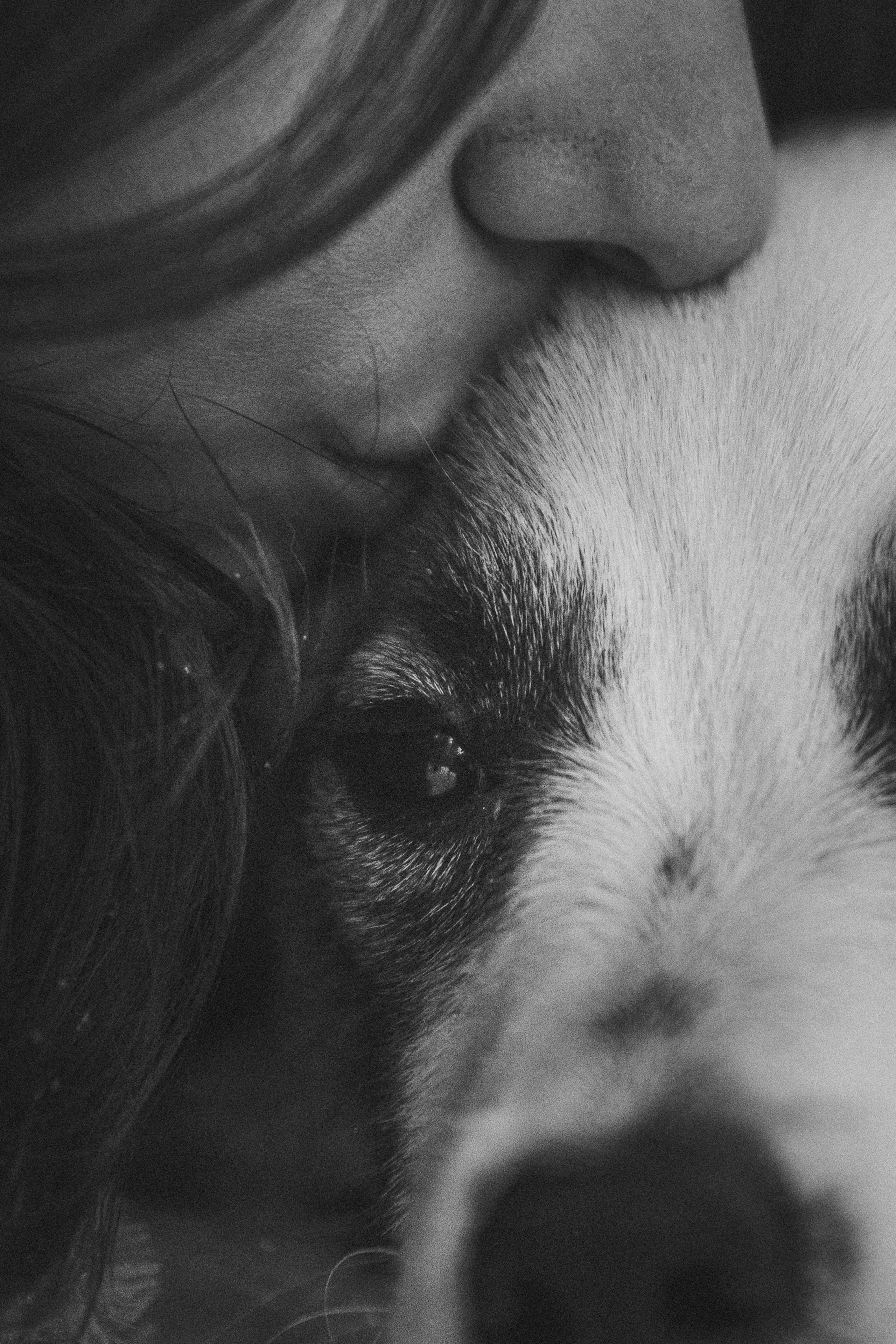 Катя, Анатолий и Елай. Фотограф анималист в Москве и Санкт-Петербурге Свиридова Анна