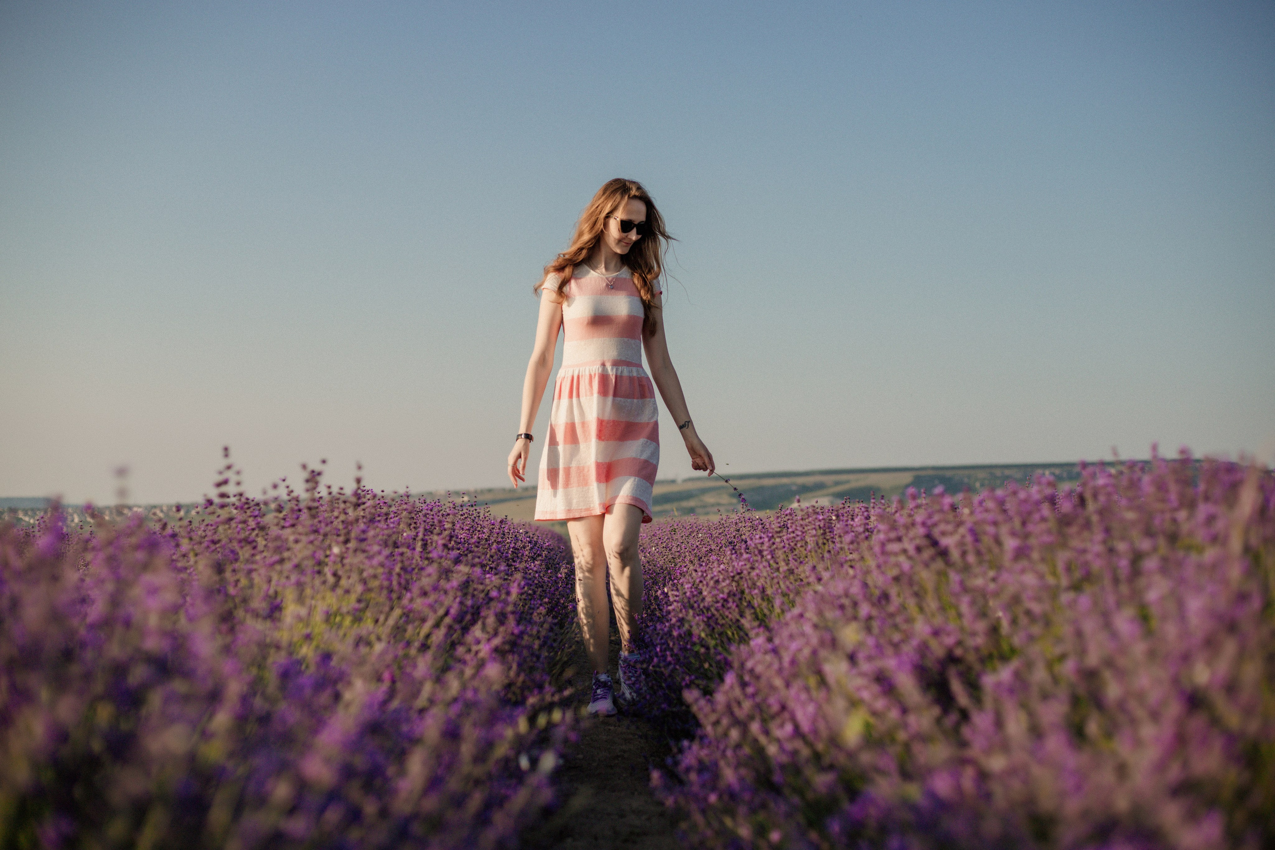 Лаванда. Фотограф и Видеограф Севастополь Крым