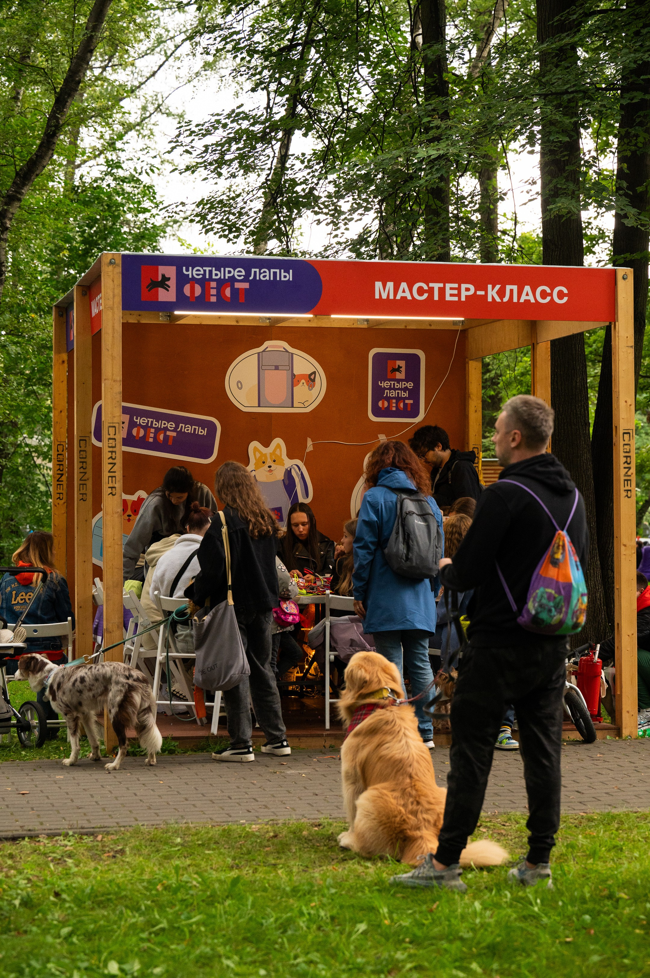 4lapy fest 2025. Photographer in Moscow Anna Chistiakova