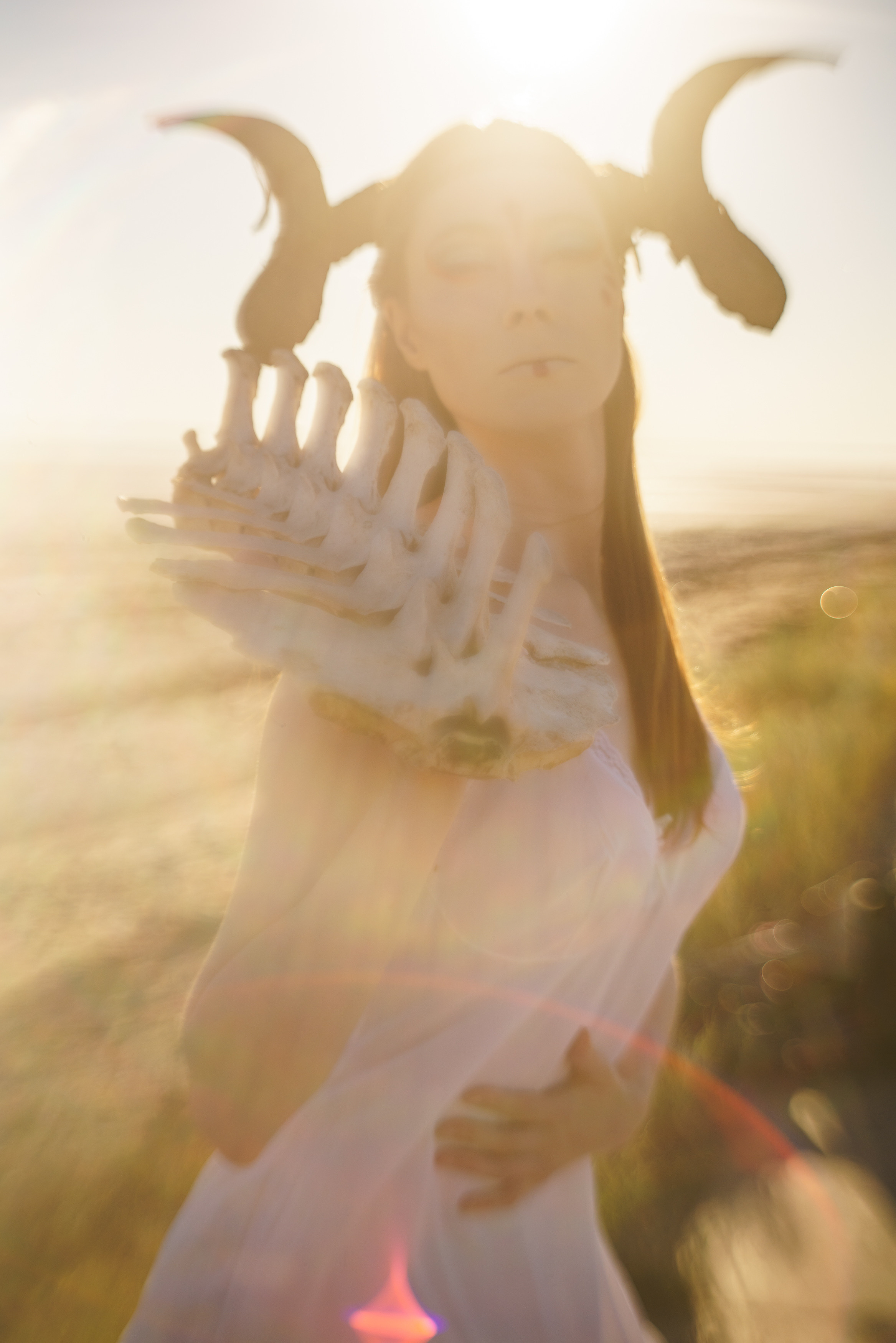 Проект «Многоликая»