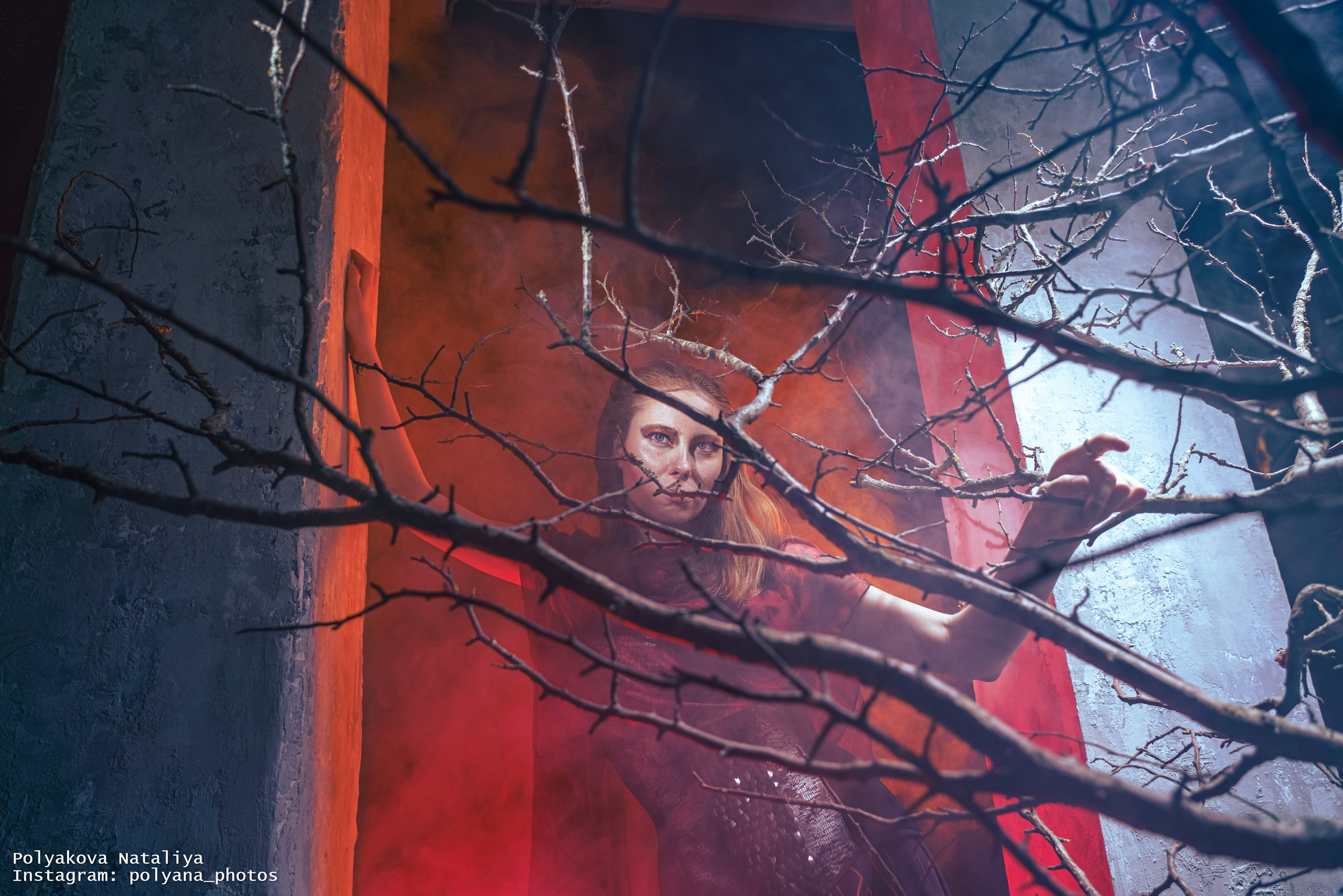 Проект «Многоликая»