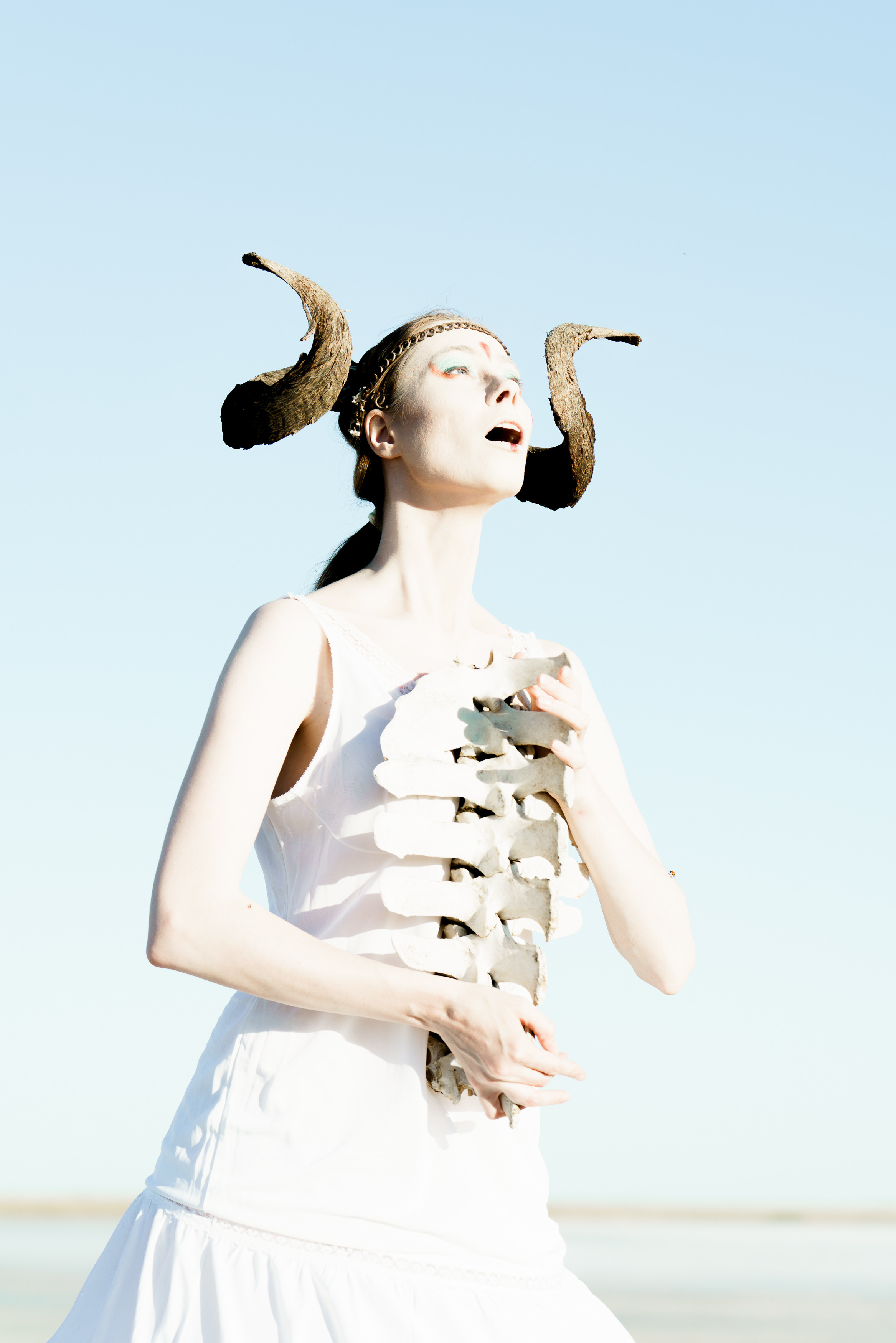 Проект «Многоликая»