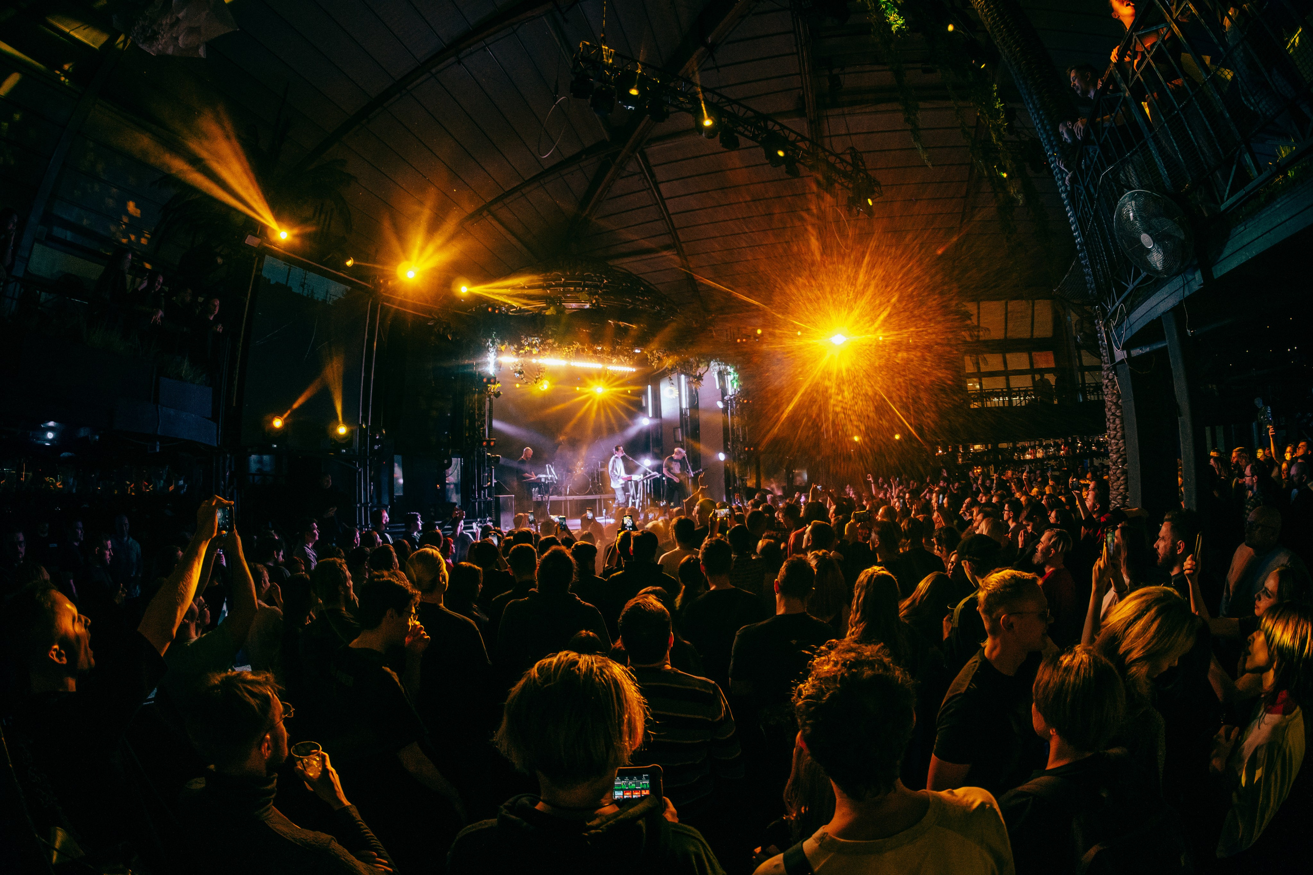 КОНЦЕРТЫ. RVANCEVA