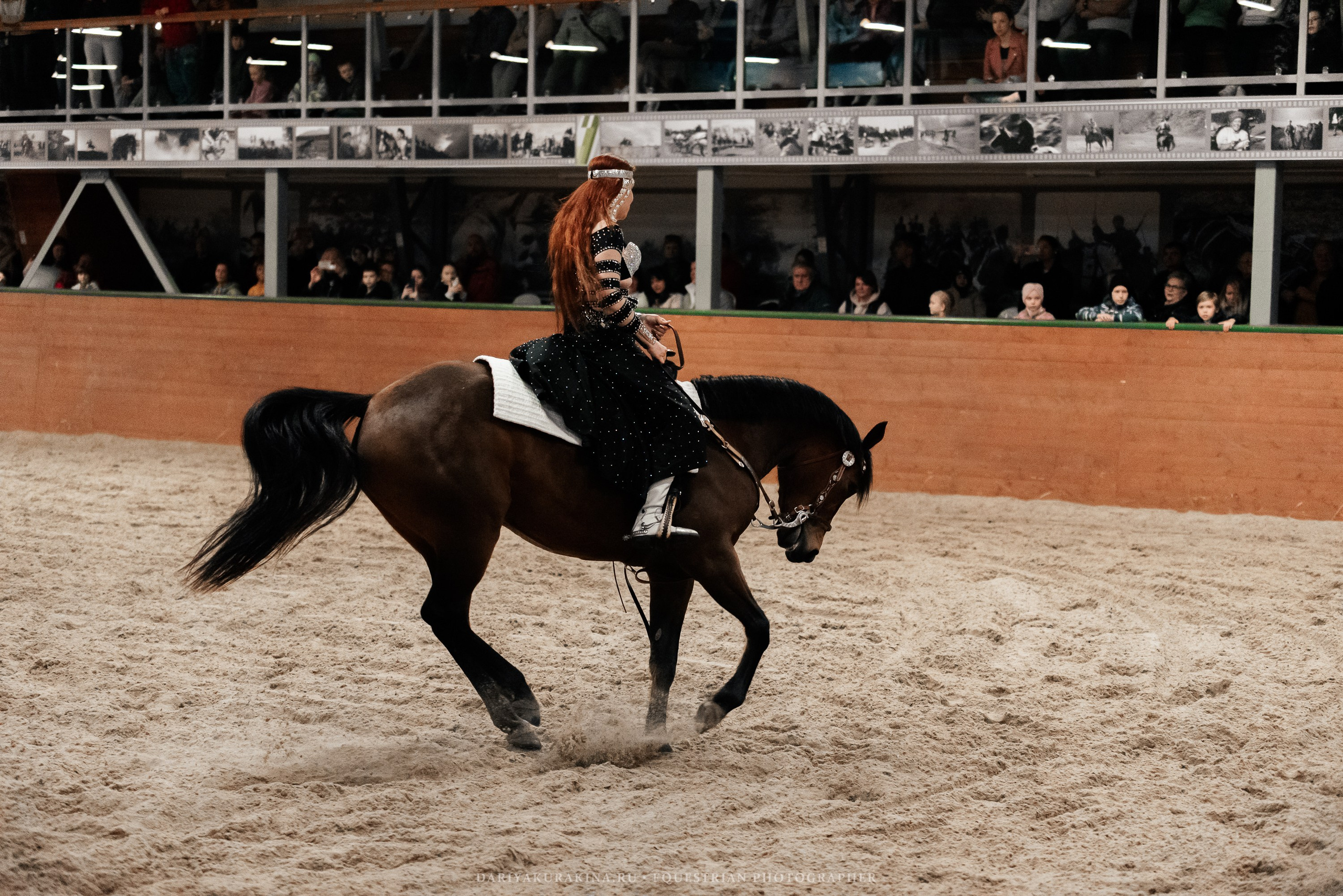 Конное представление «Дыхание Звёзд». Конный фотограф Куракина Дарья • Фотосессии с лошадьми