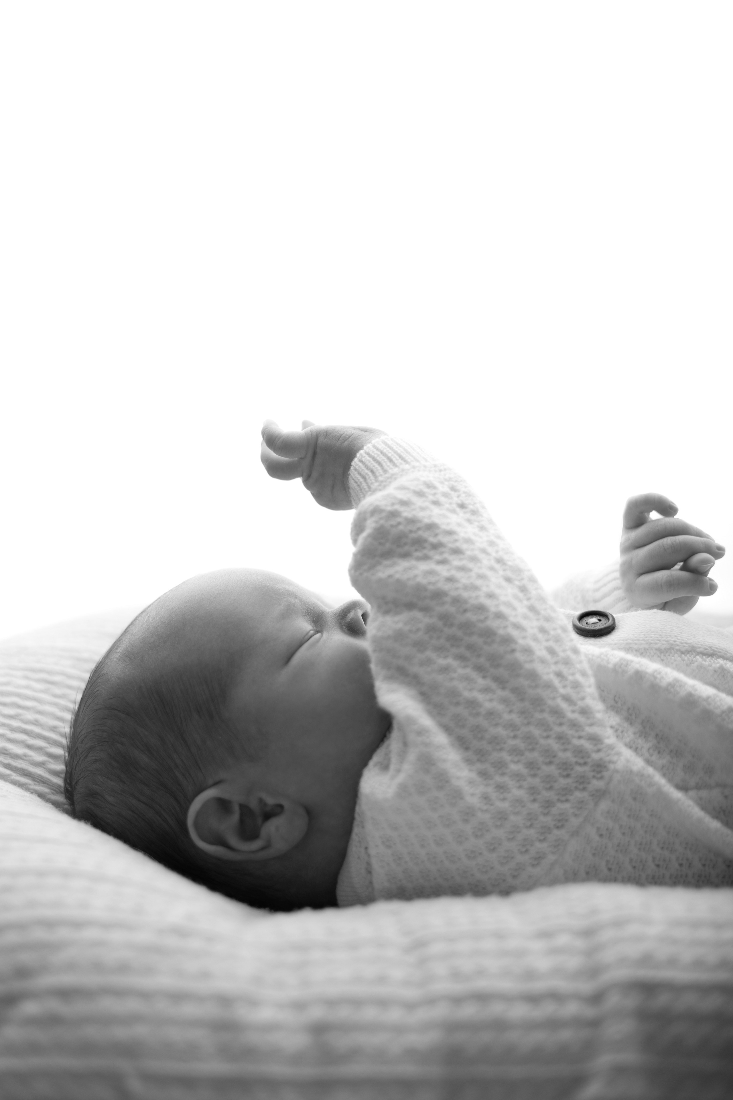 Лев. Лилия Алтухова — фотограф новорожденных в Москве и области