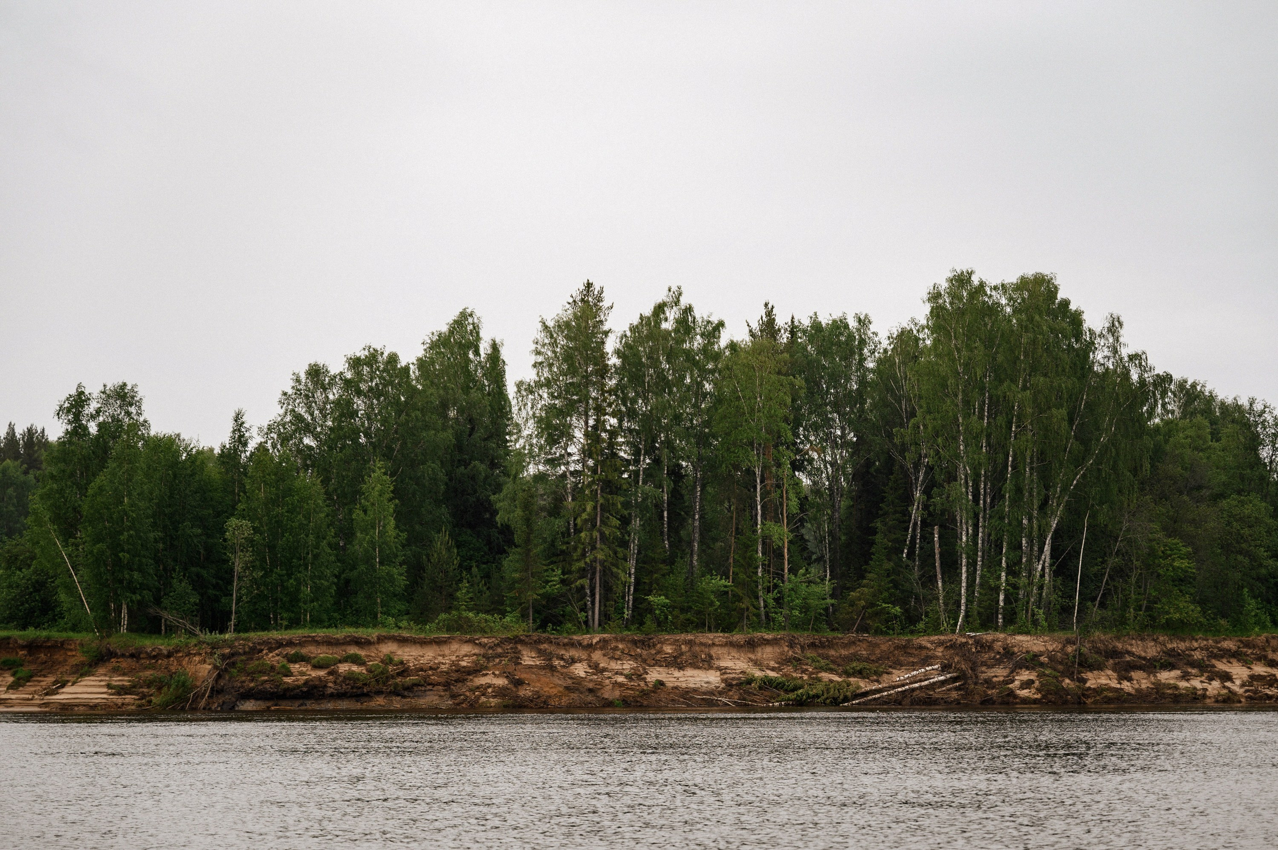 Владислав и Анна. Zhulanovilya