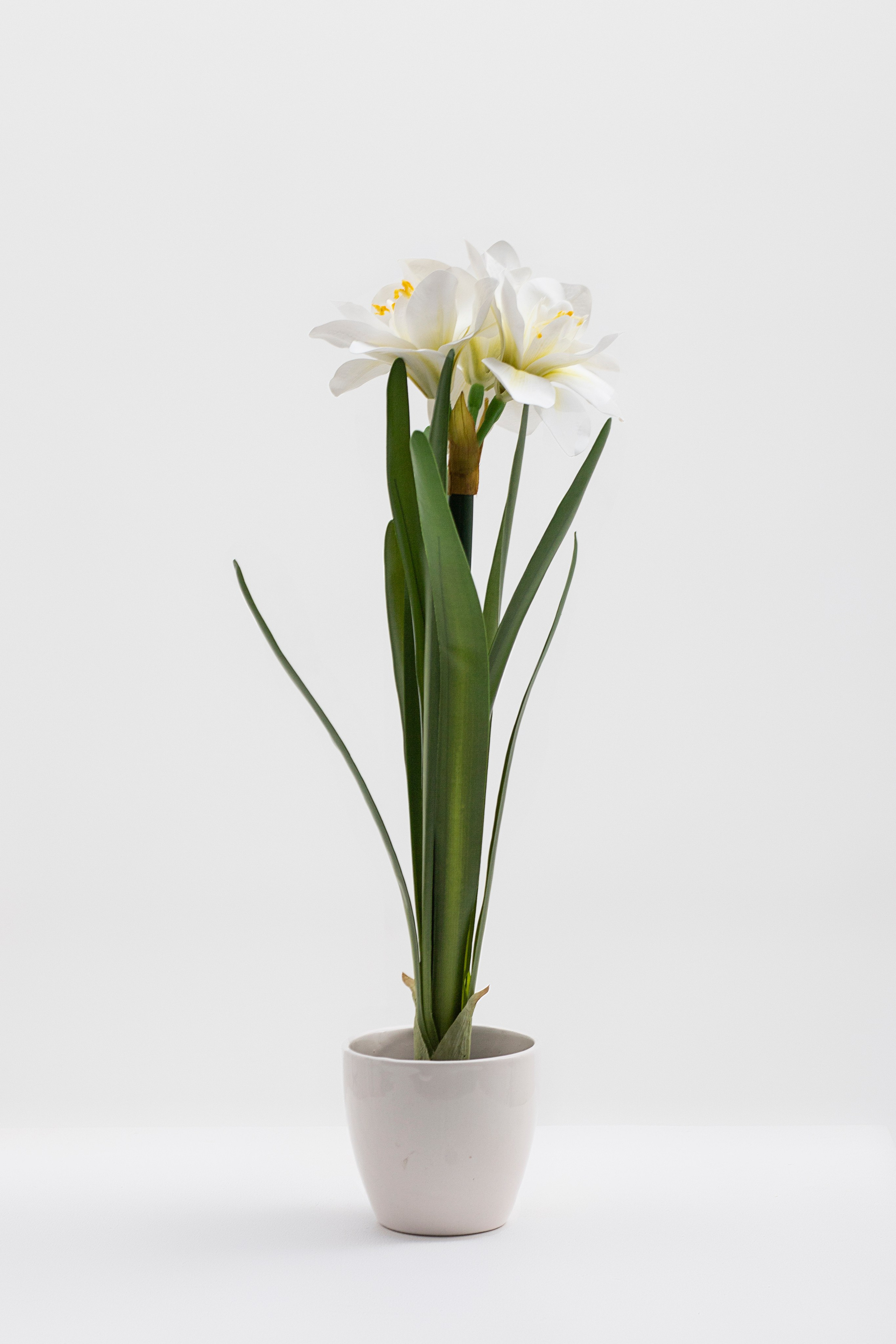 Маркетплейс. Фотограф Пушкино и Москва Анастасия Коган