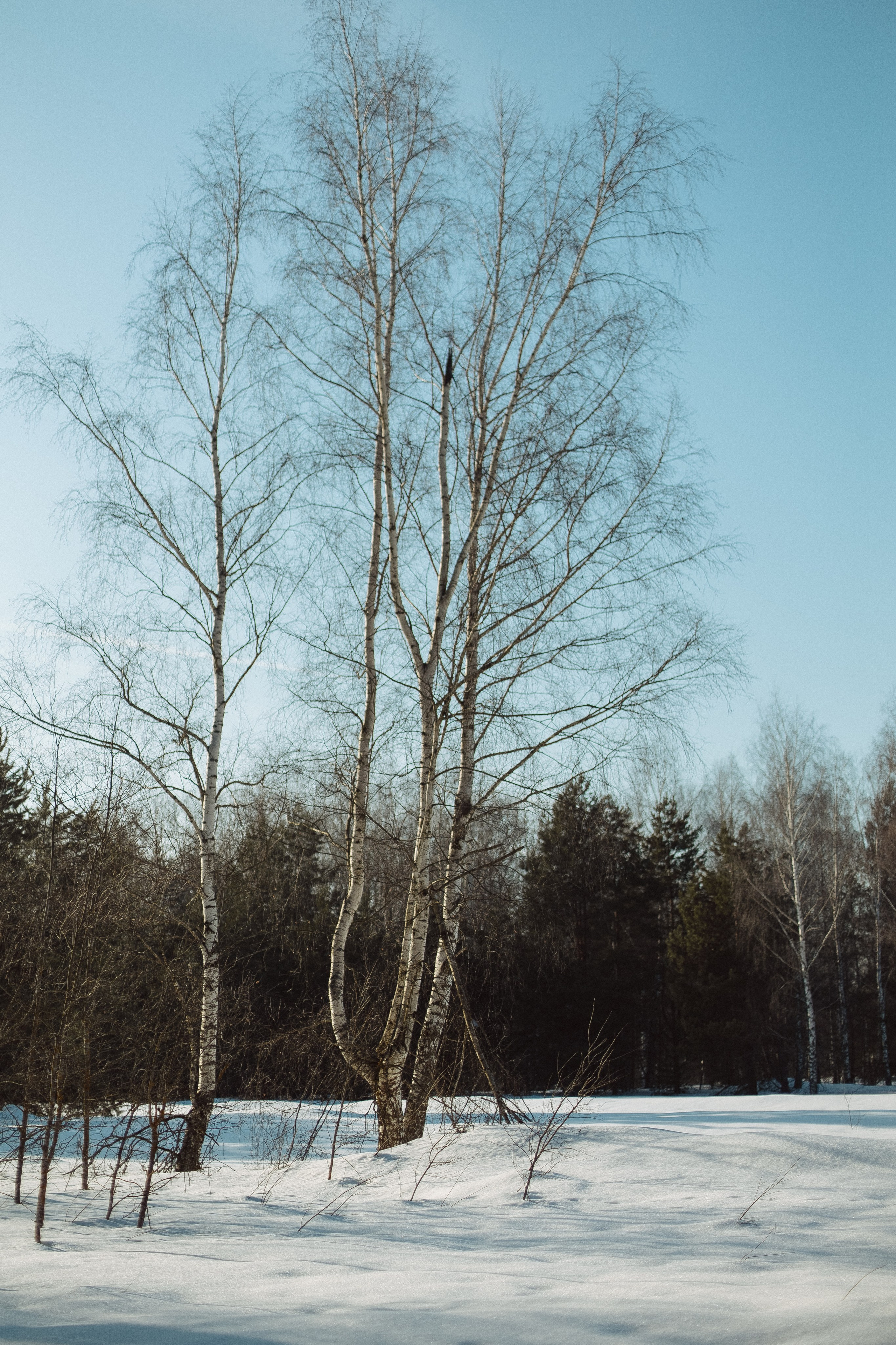 Экопарк ПОЛЯНЫ. Главная