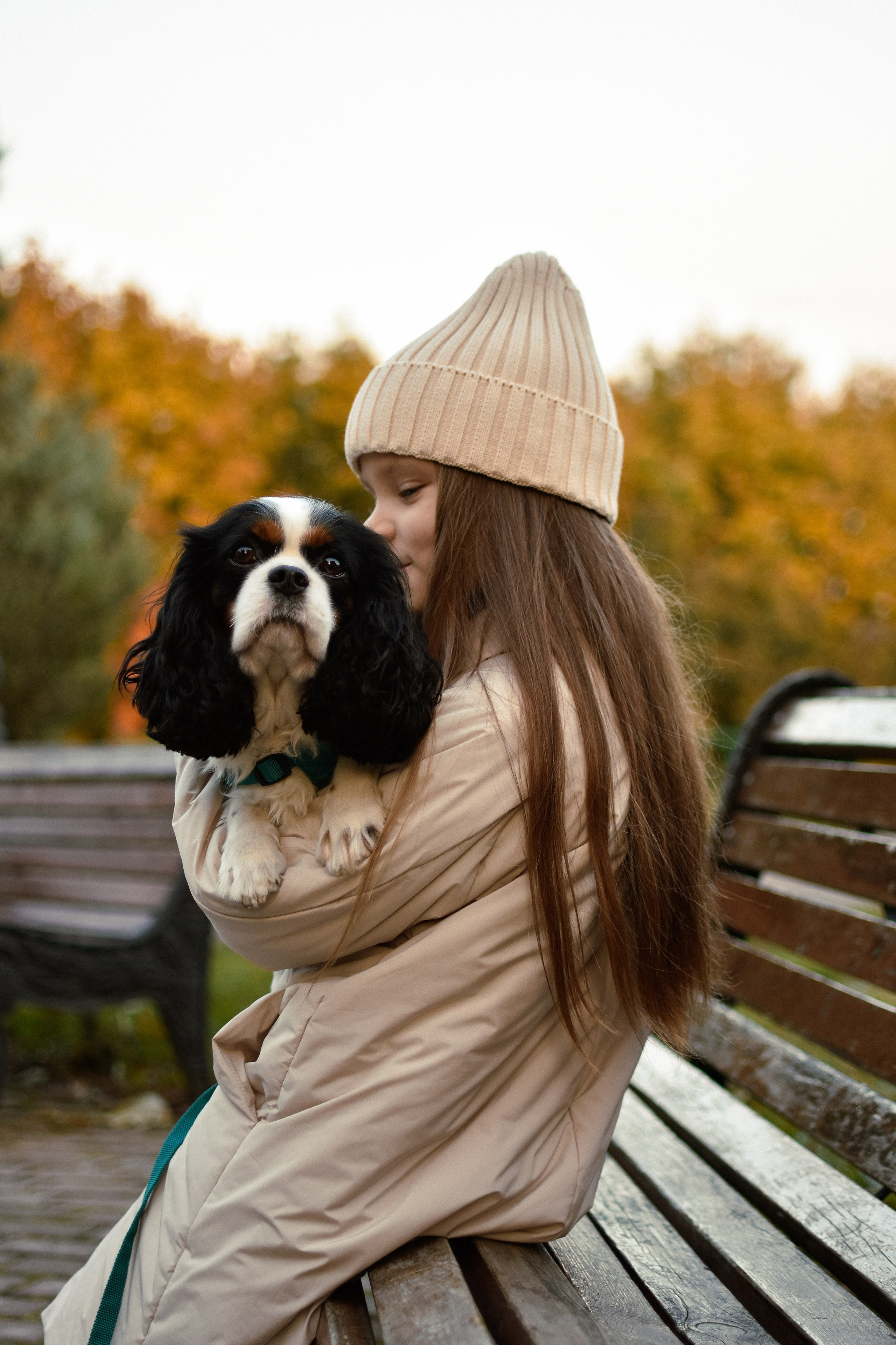 Молли, Кристина и Полина. Фотограф-анималист Ксения Шевцова|Москва
