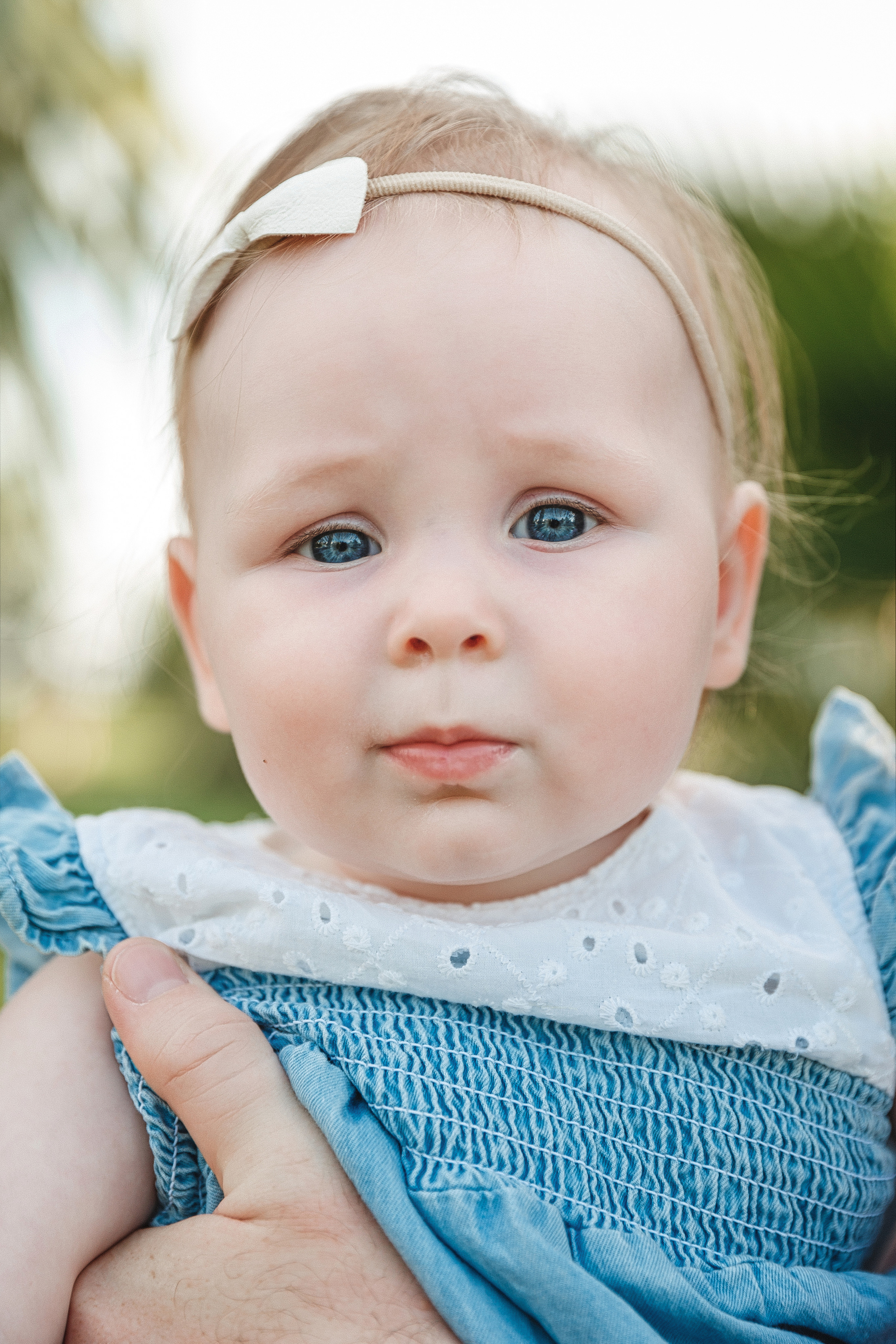 Вероника, Дмитрий, Дарья и Катерина. Свадебный и семейный Фотограф в Сириусе и Адлере — Расторгуев Алексей