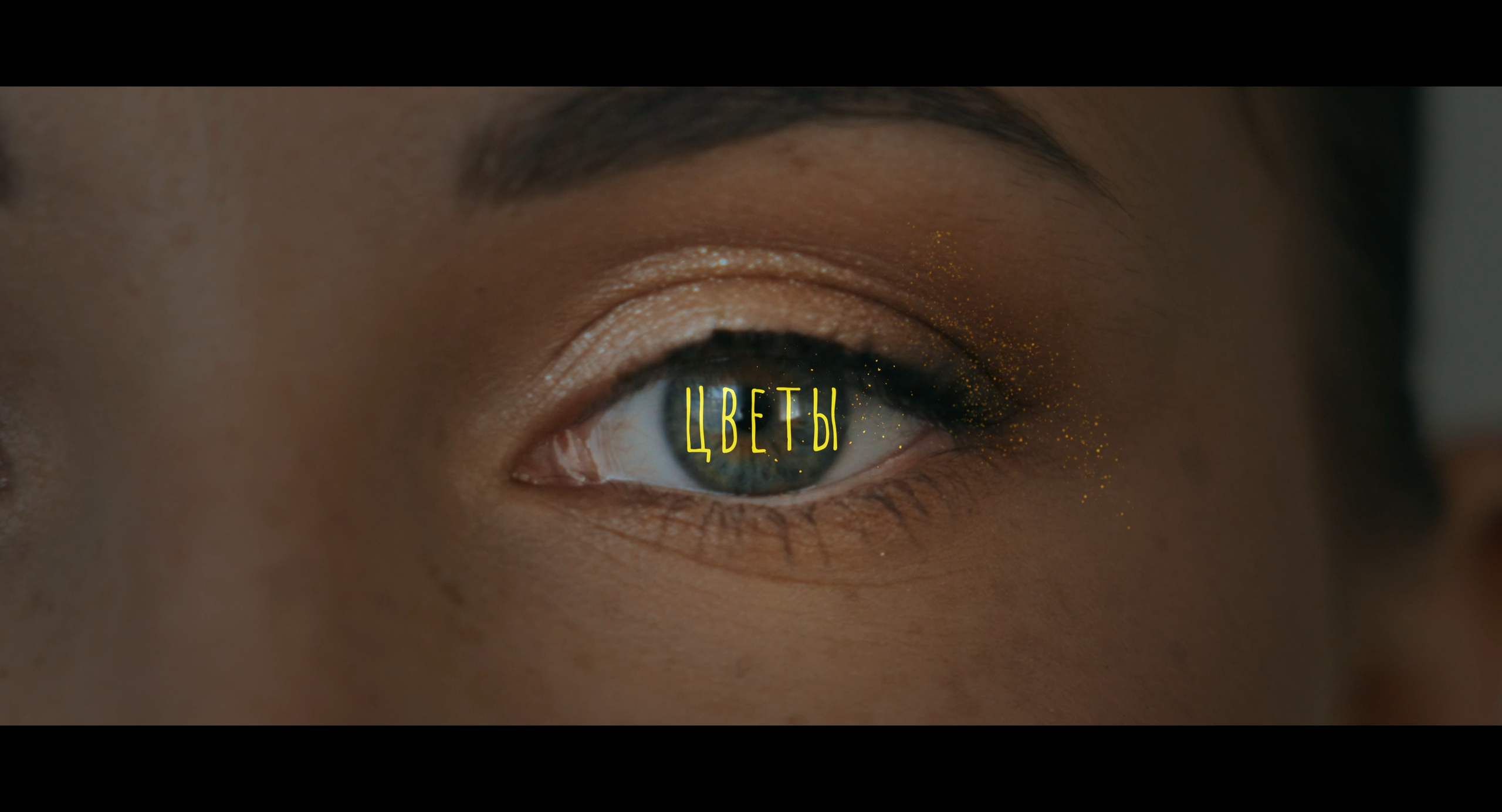 Стефан Студия