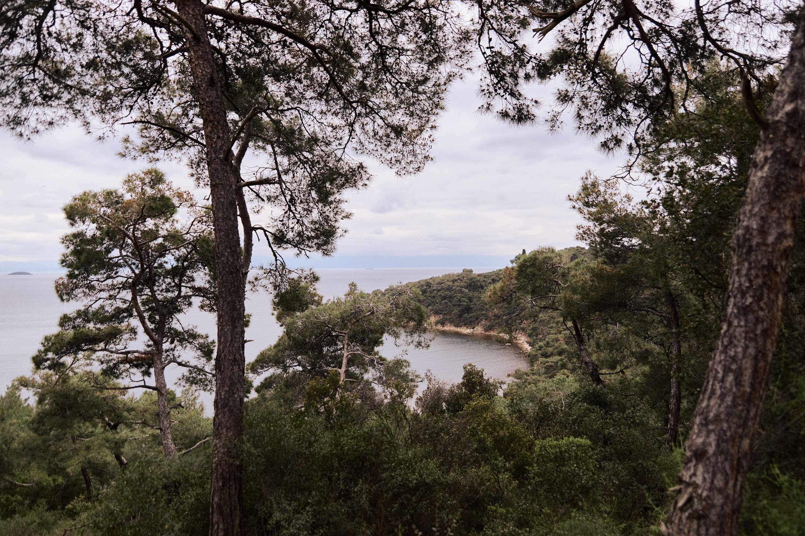 Улица горизонтальная. Jorgis — фотограф в Хургаде / обучение фотографии
