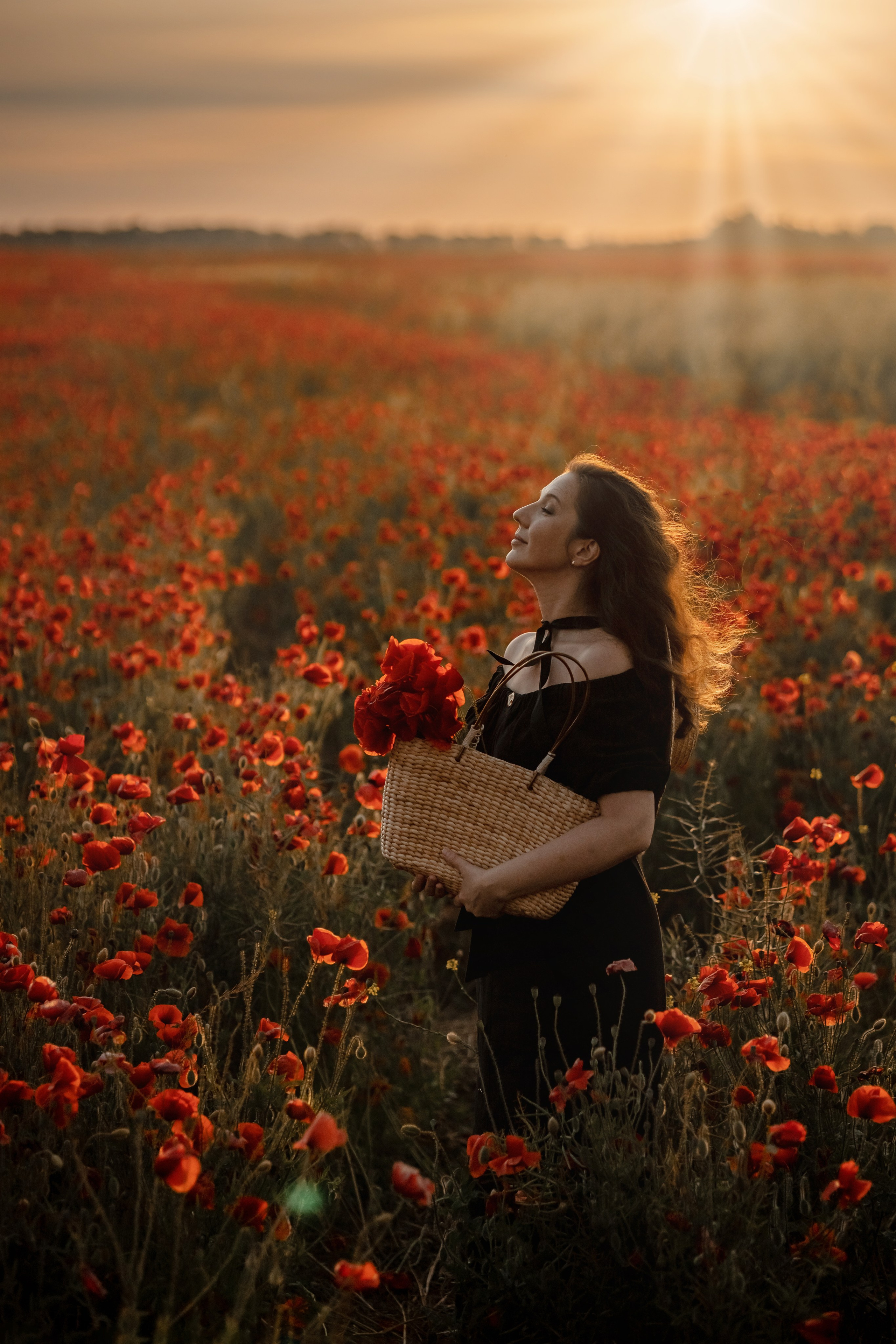 Яркие маки. Художественный фотограф Анапа Александра Долбикова