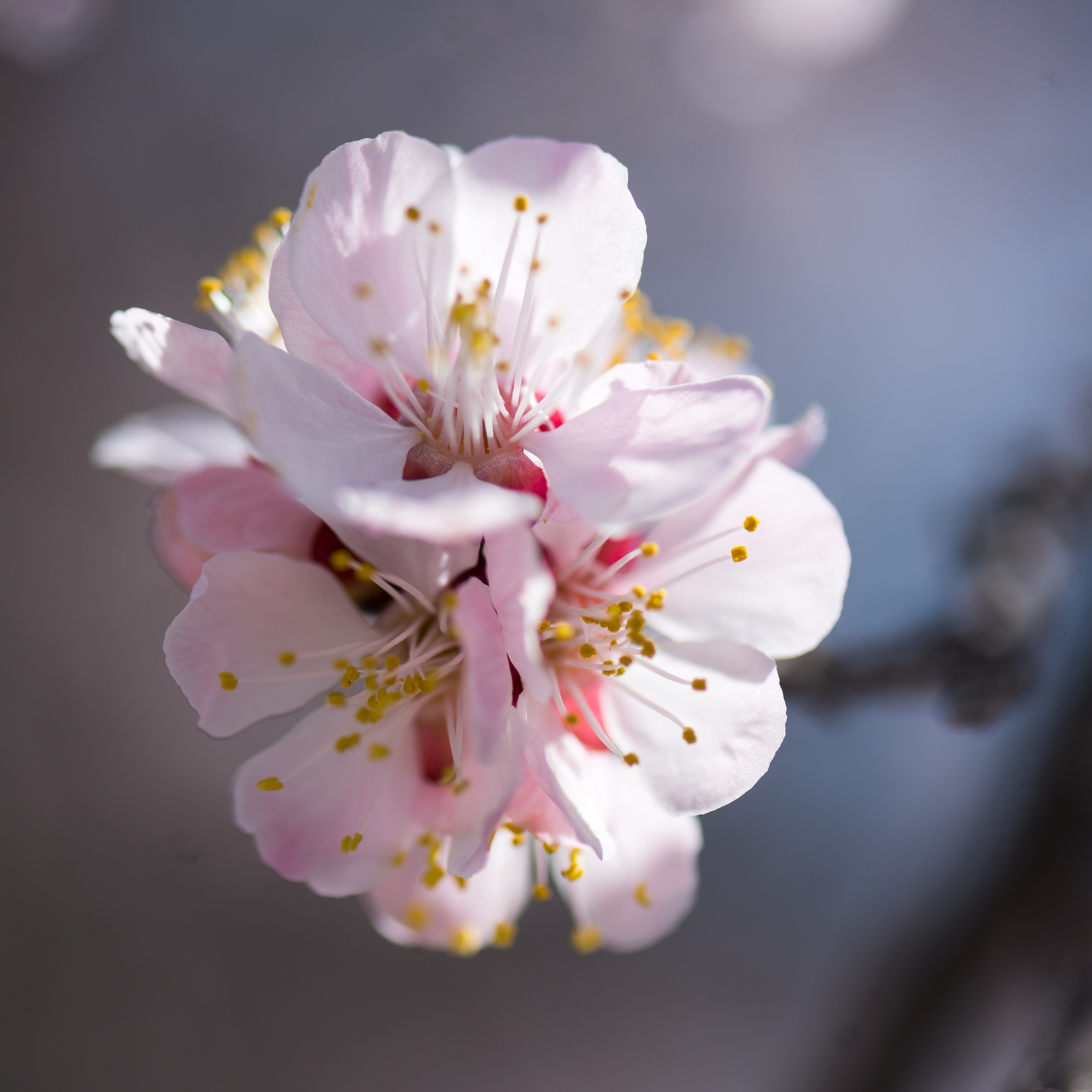 Узбекистан в марте. Люди. Юлия Розанова, коммерческий фоторепортаж в Москве