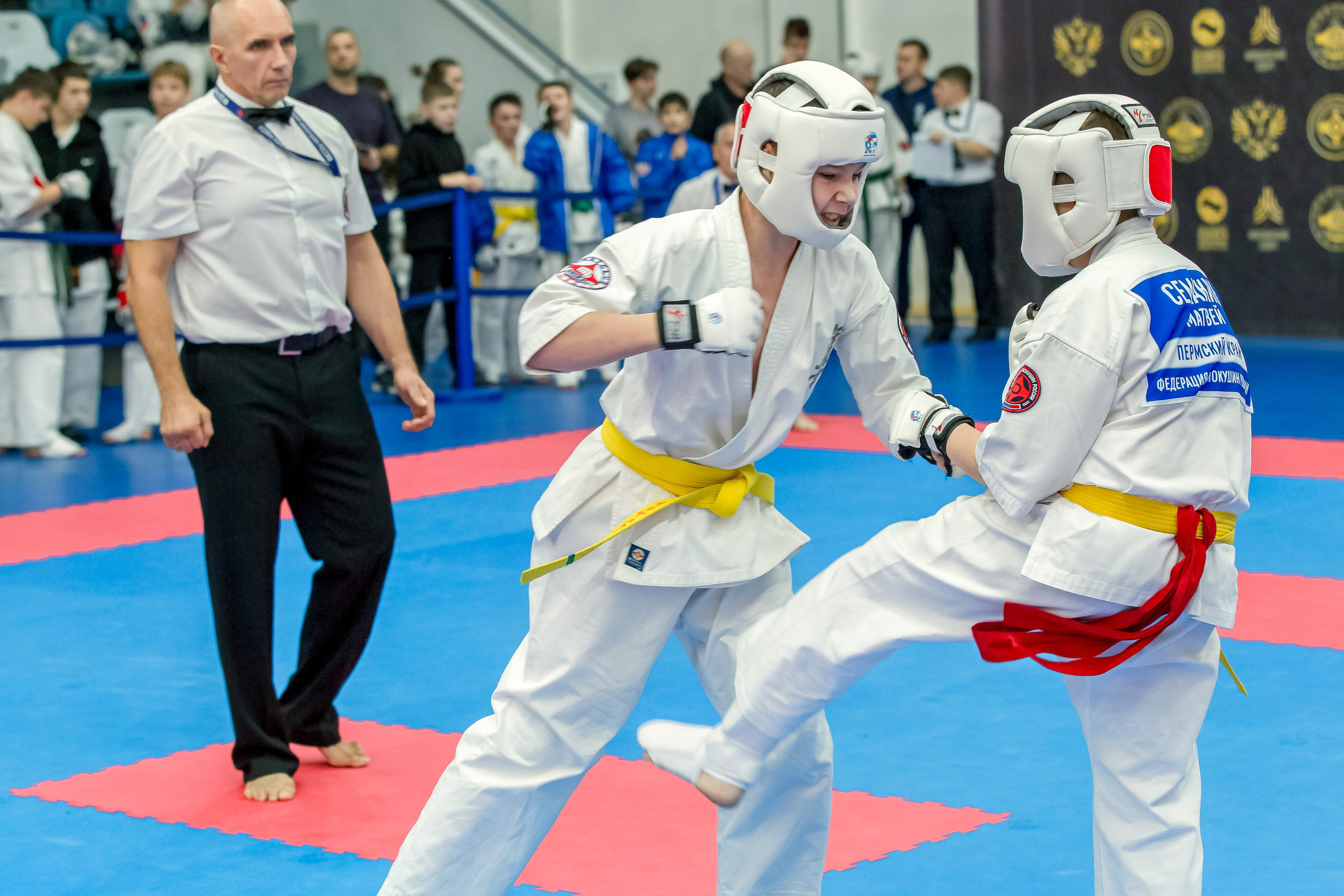 Соревнования по Киокушин памяти С. Увицкого. Репортажная съемка в Москве и области. Анималистика