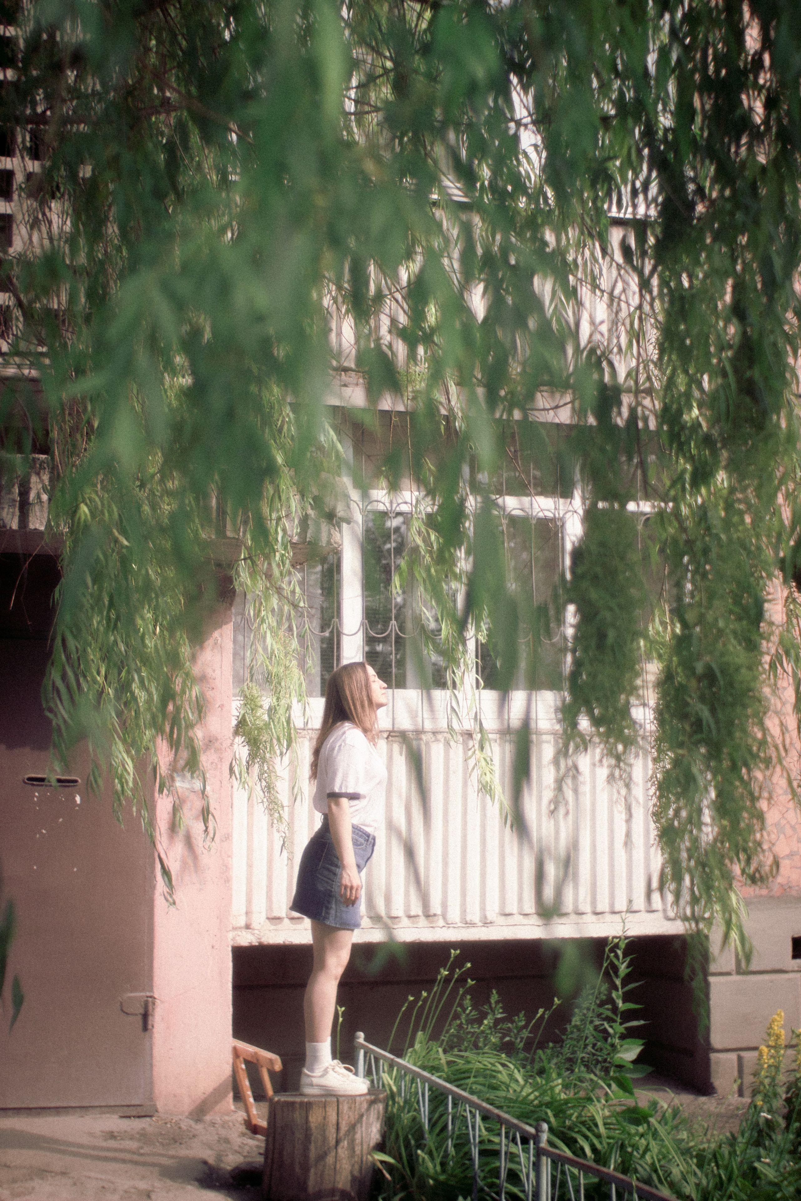 Безмятежное лето. • Фотограф Александра Светозар Алчевск •