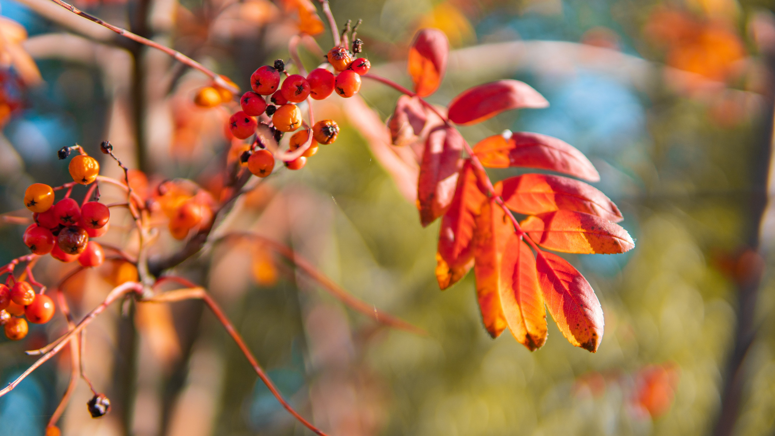 Без людей. Фотограф и ретушер в Москве Екатерина Нарубина