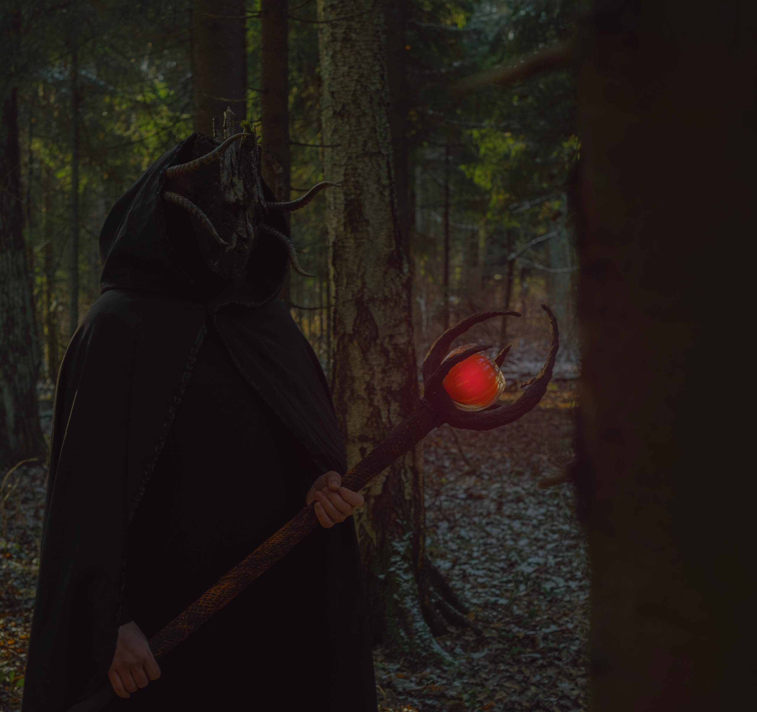 «Дух леса». Фотограф (Москва, Мытищи)— Комова Анастасия