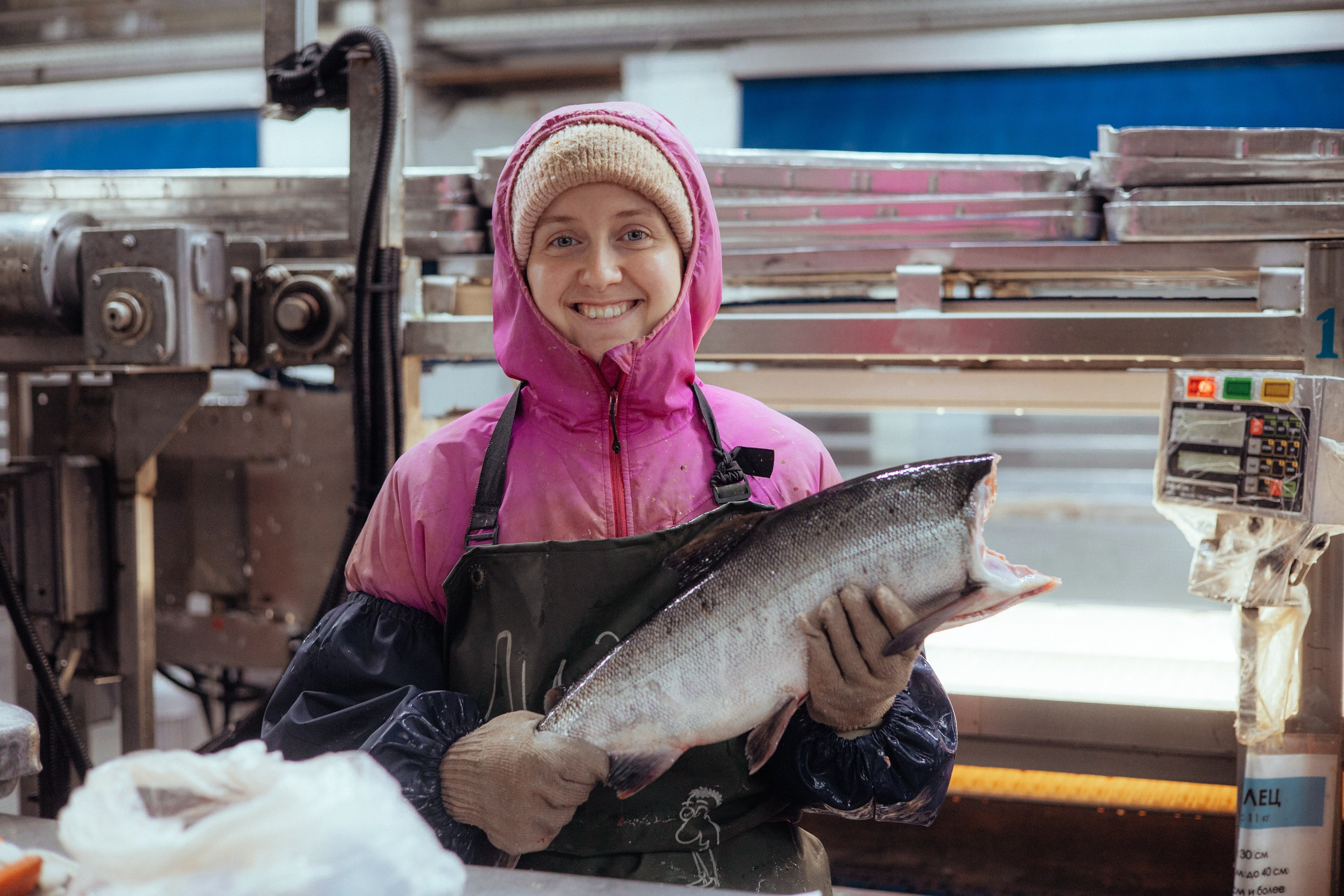 Ооо «лойд-фиш» | камчатка-2025