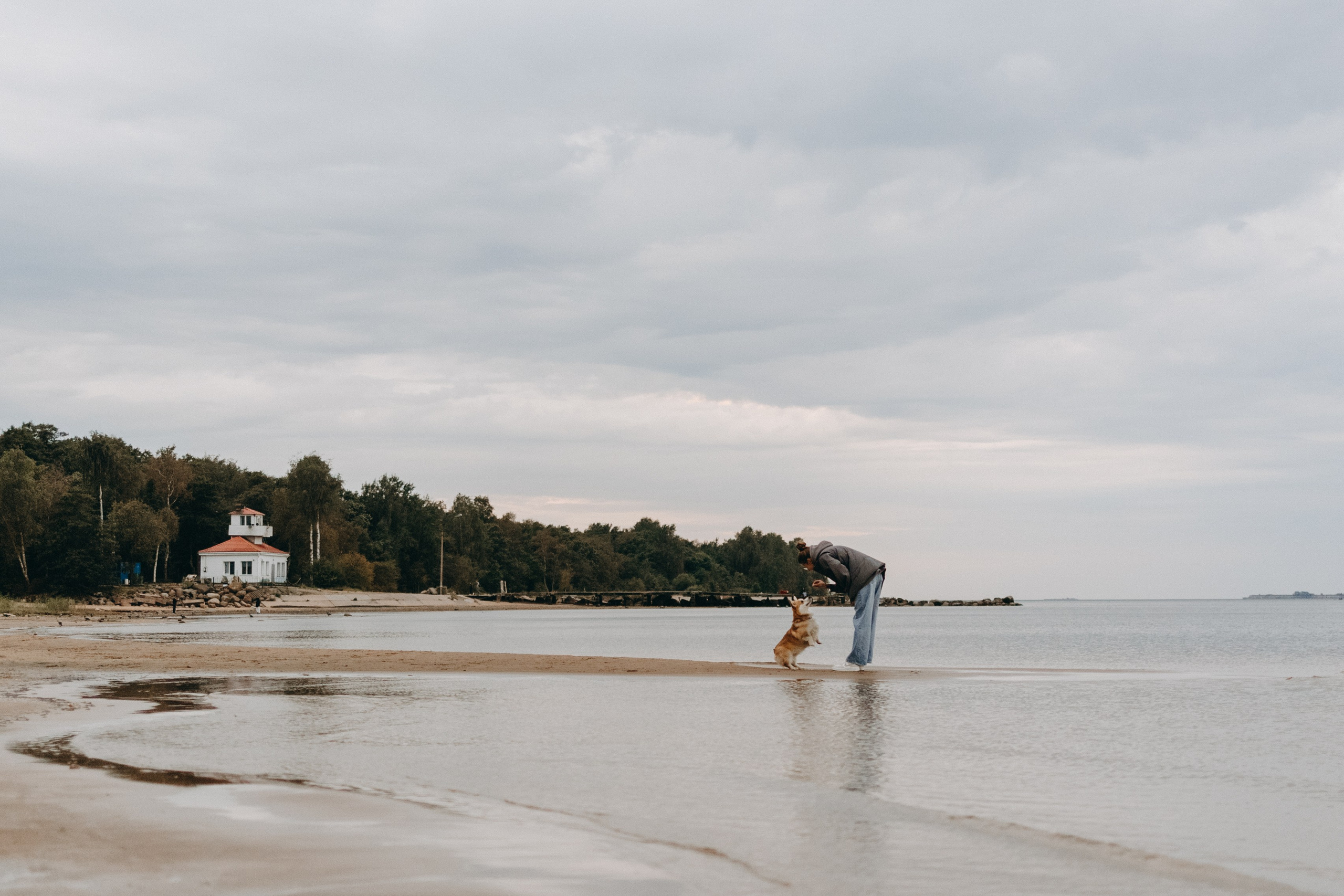 Лиза и Бакс. Фотограф — Анималист | Санкт-Петербург