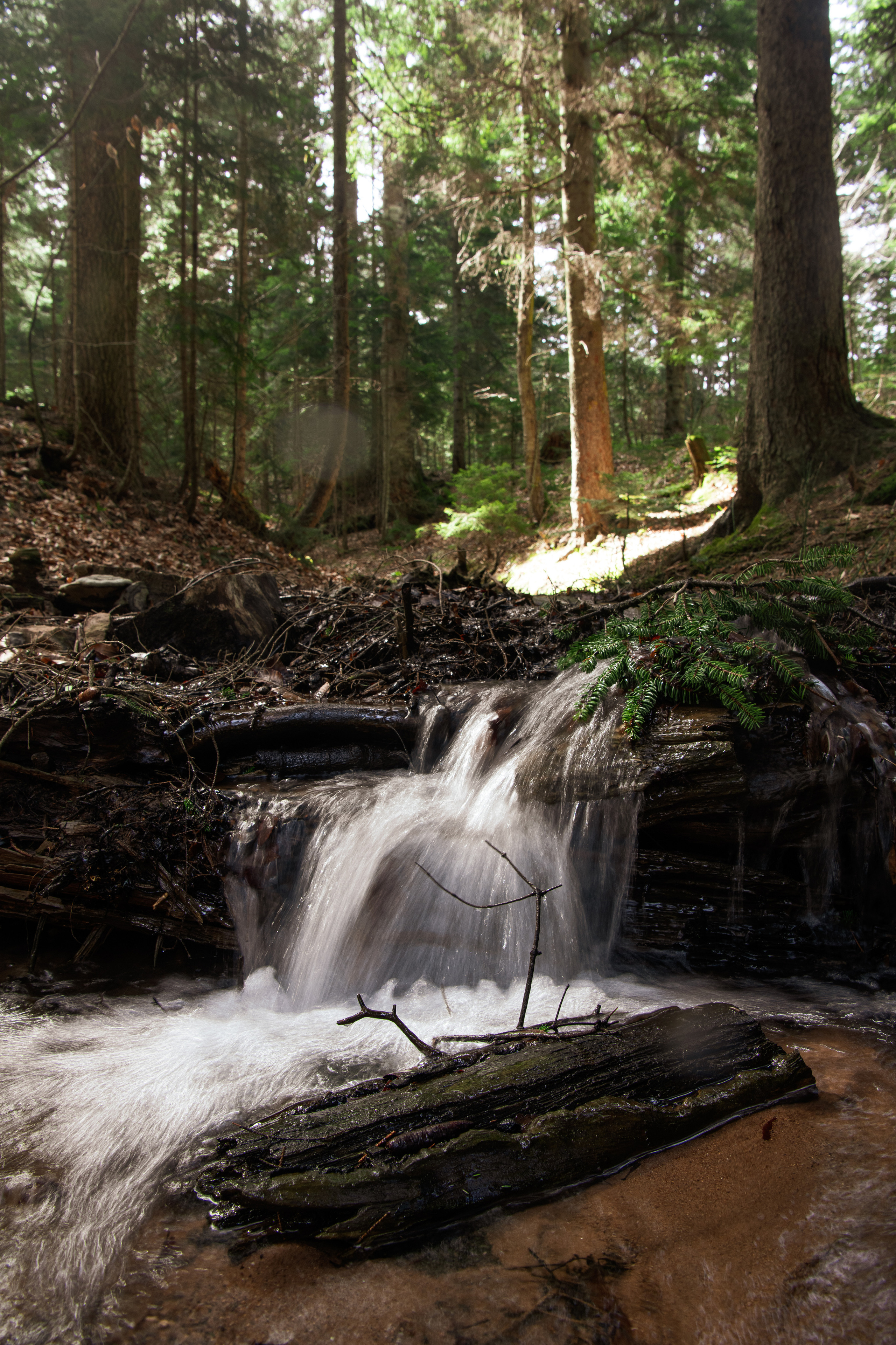 Экспедиция в п. Майская. Главная