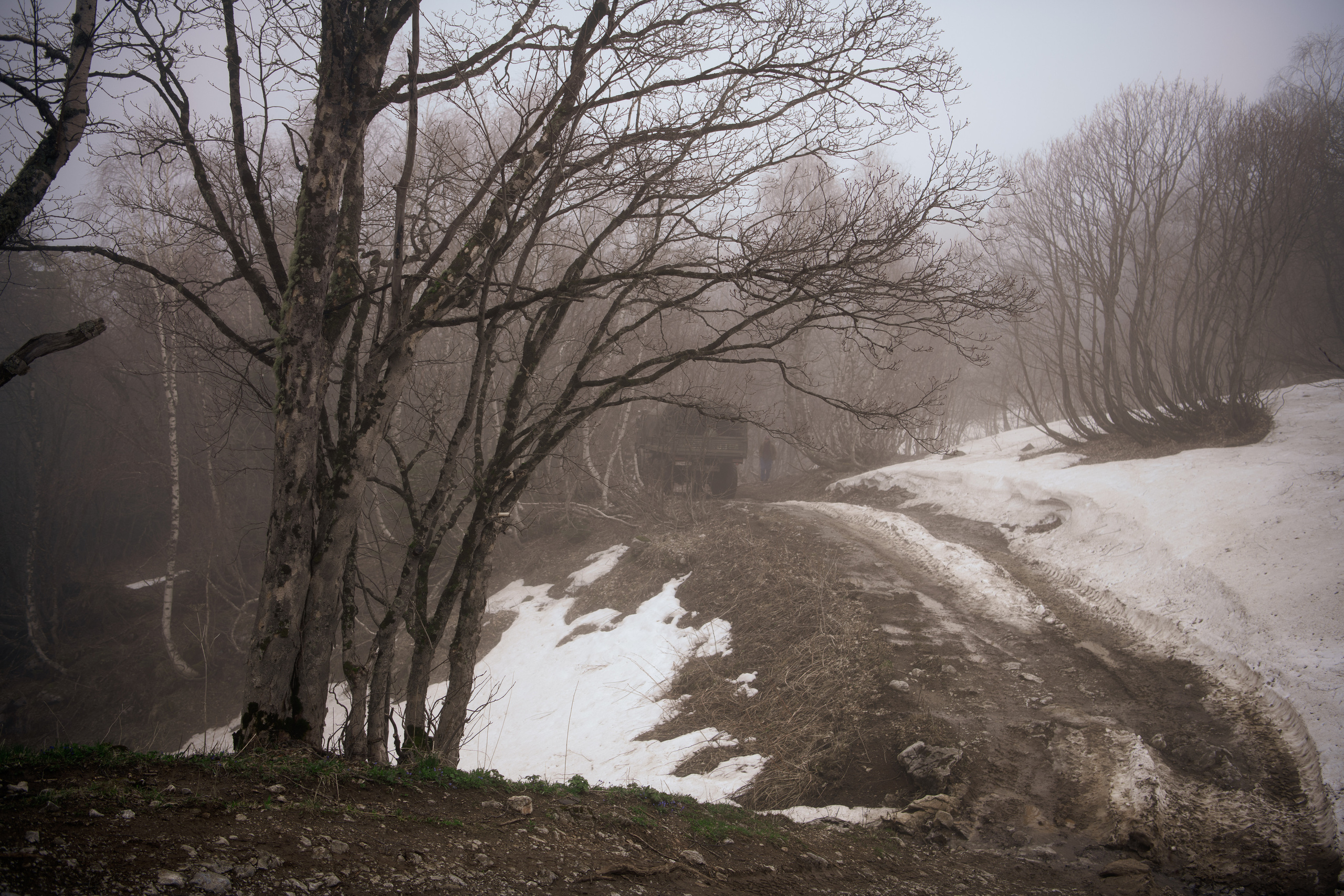 Экспедиция в п. Майская. Главная