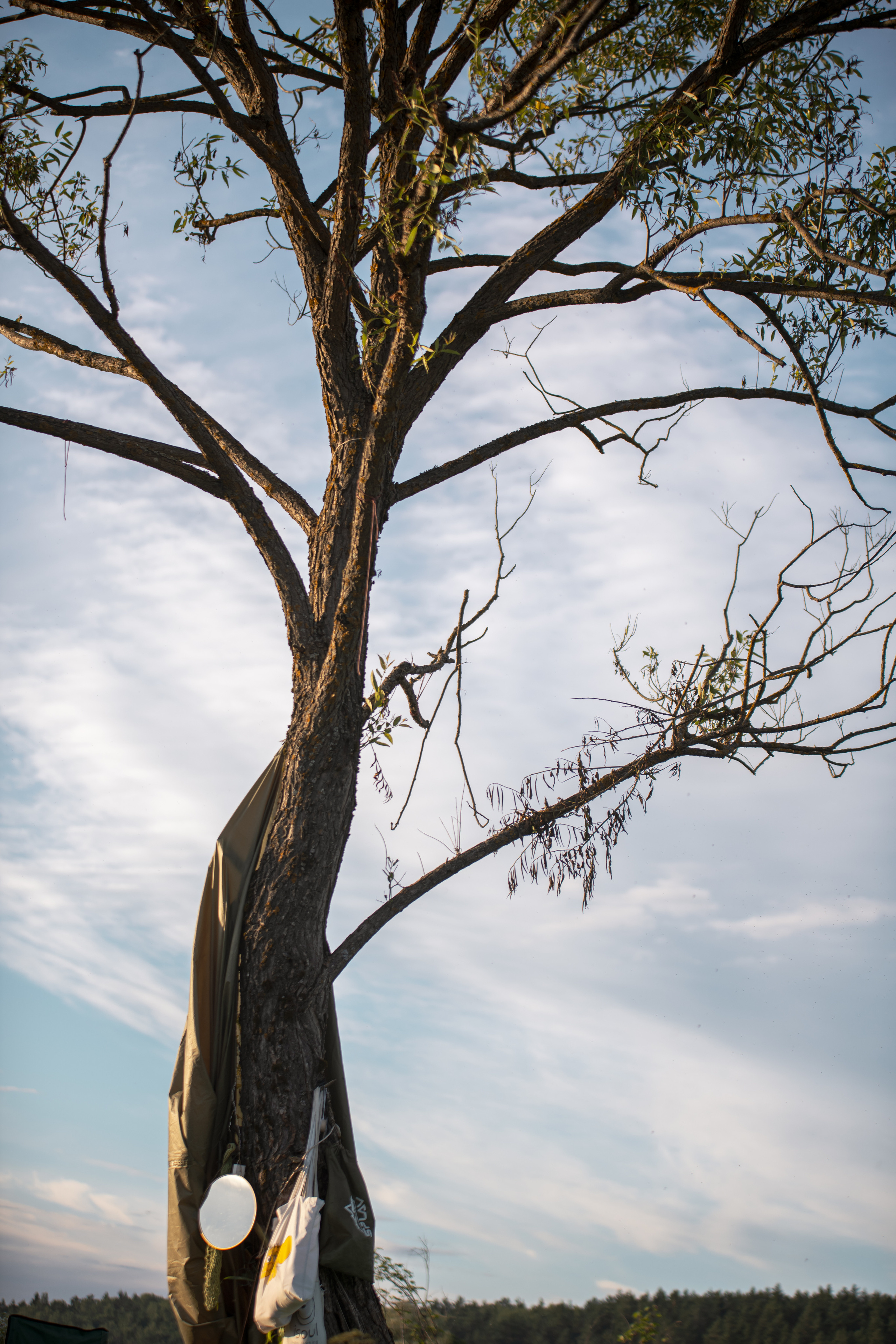 Бессонница 2022. Главная