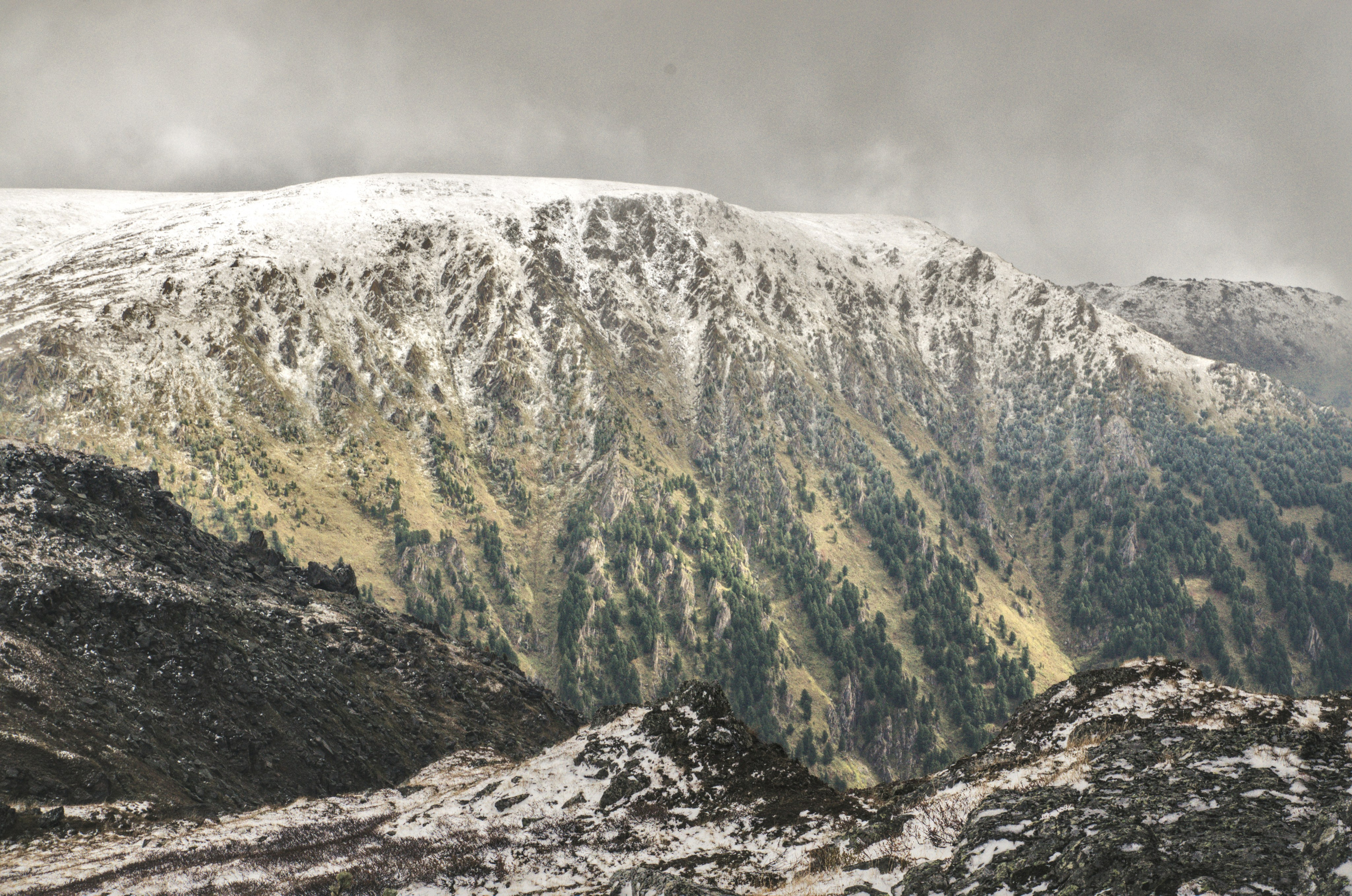 Алтай. Фотограф анималист, пейзажист, спортивные мероприятия. Новосибирск