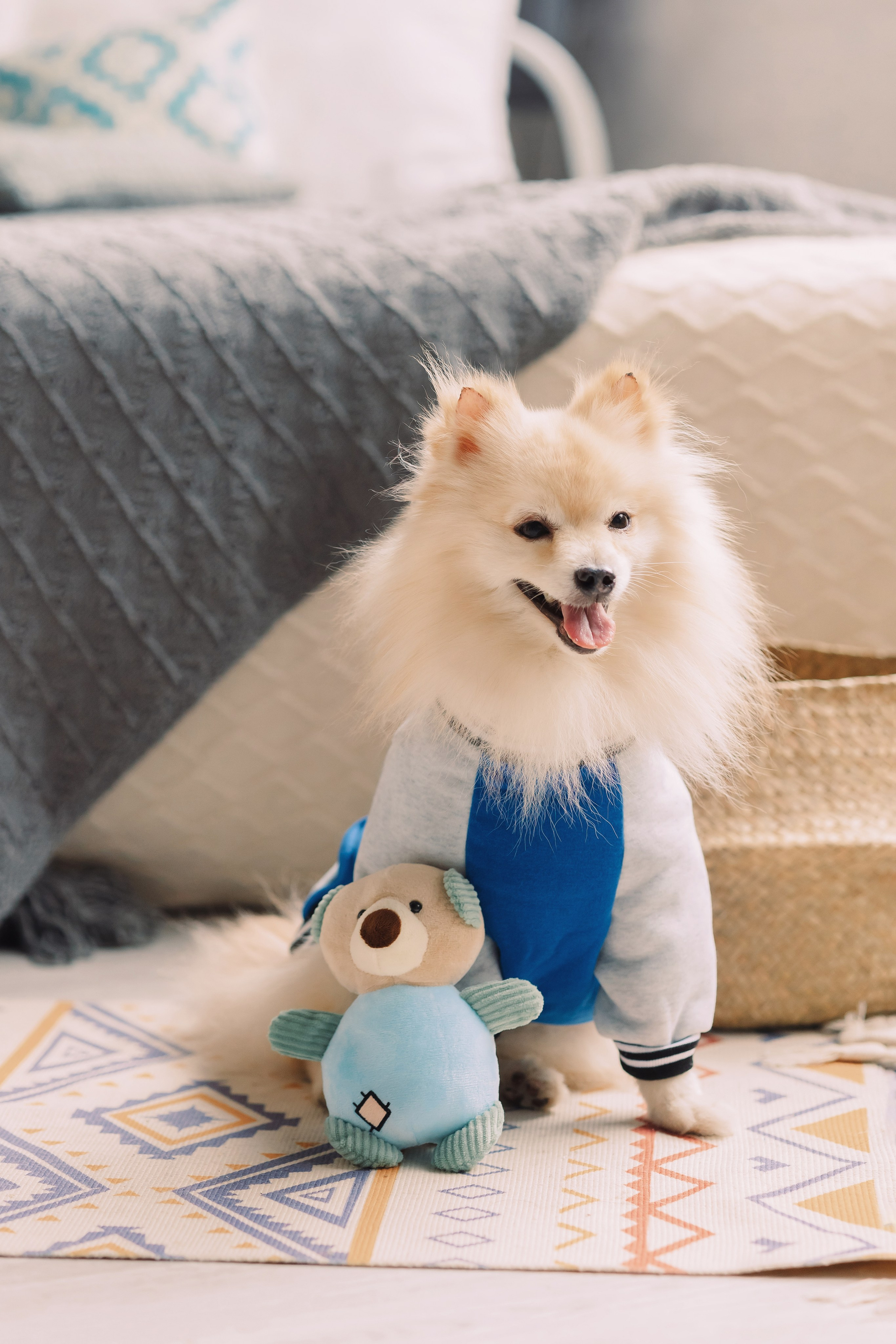 Магазин Friend of mine. Фотограф-анималист Елена Радченко, Москва