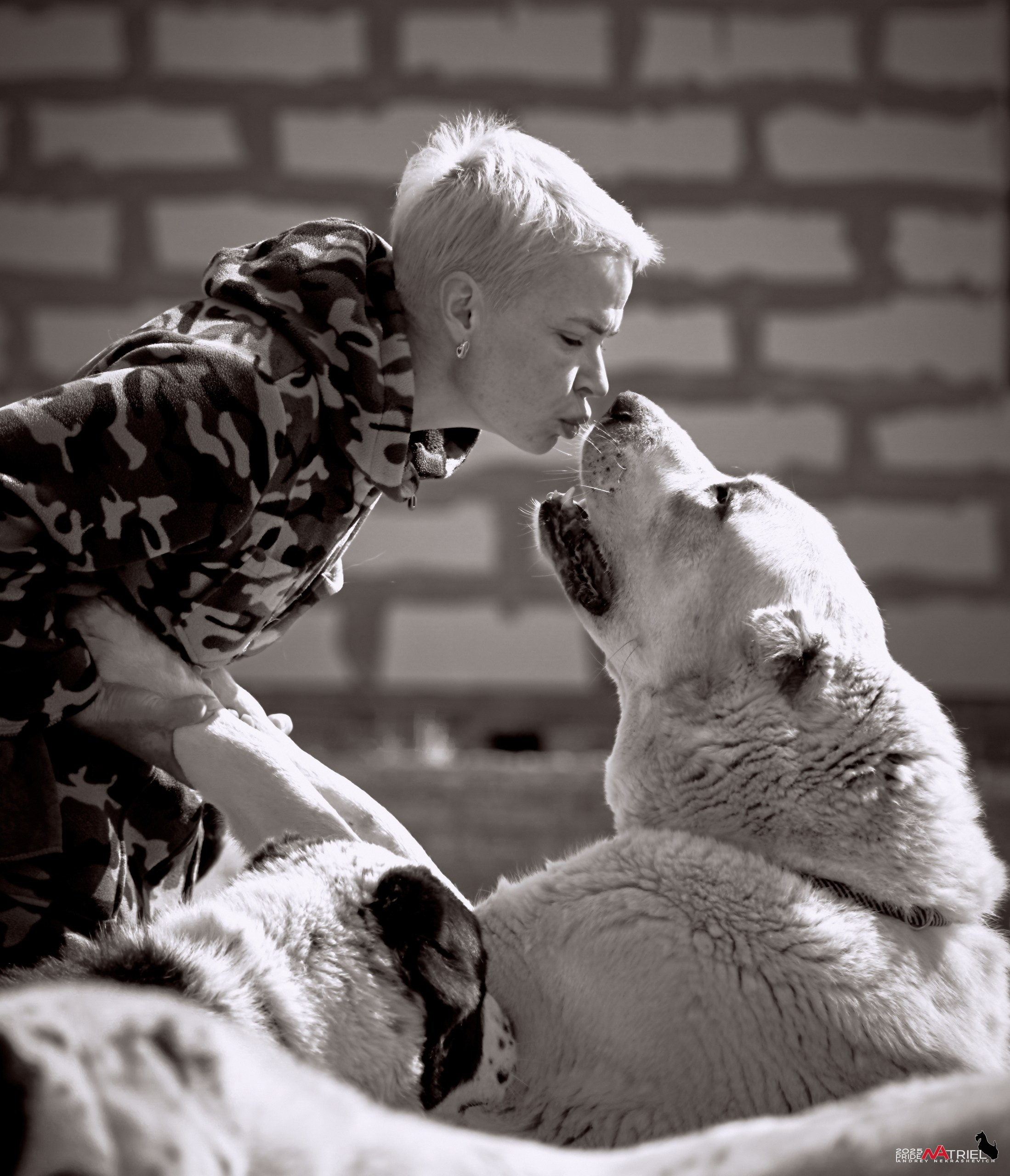 Съемка в питомнике