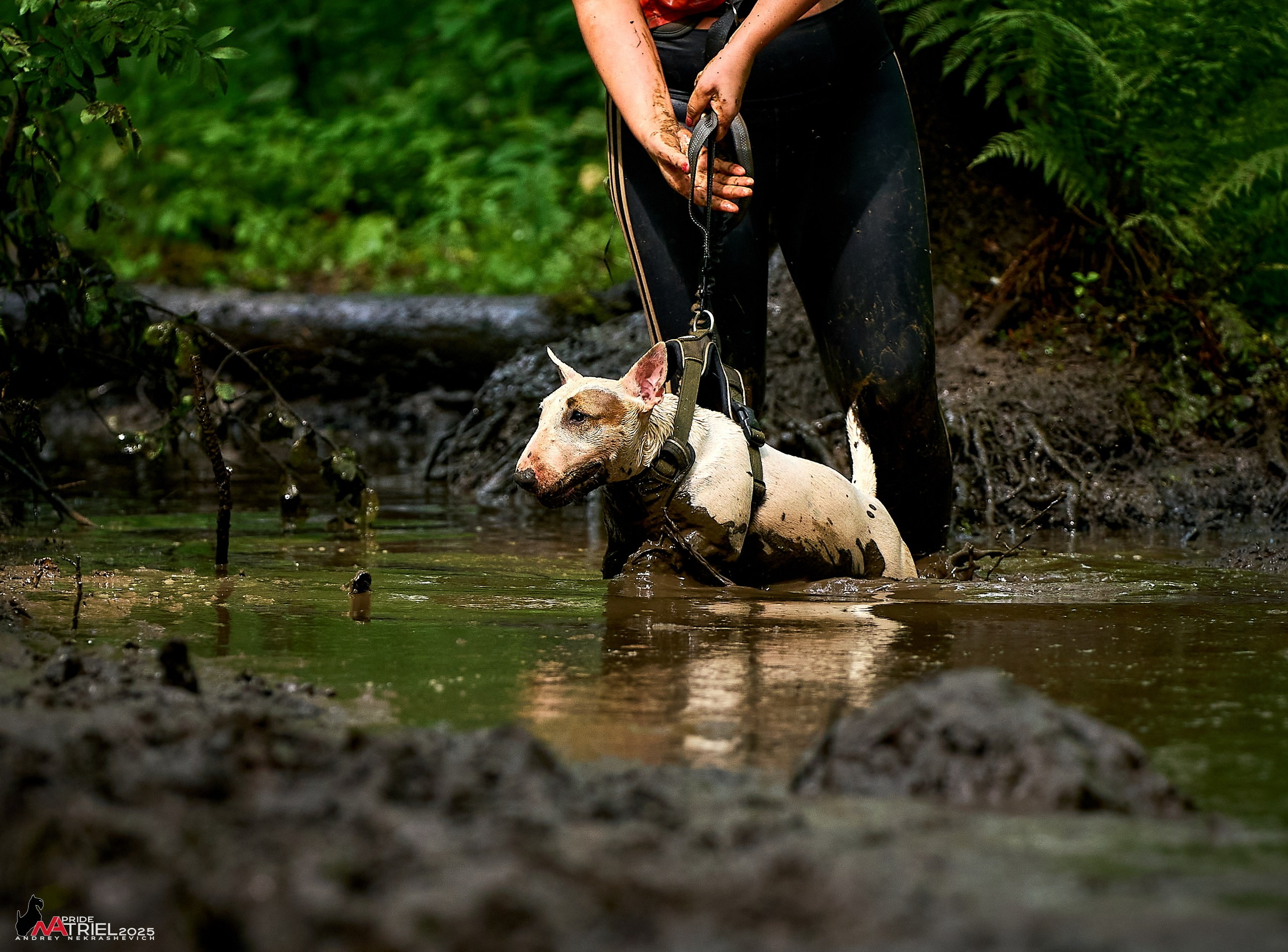 Russian Extreme Dog Trail — 2025