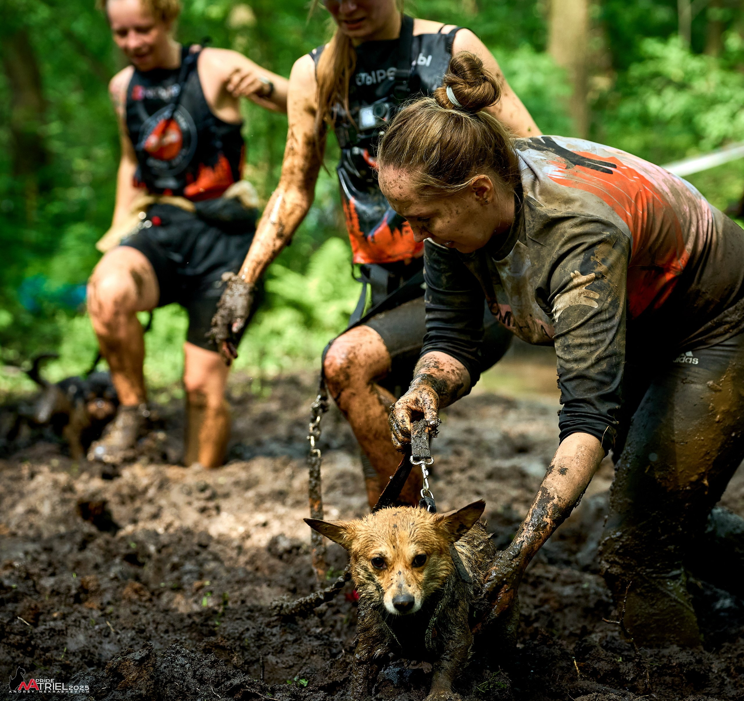 Russian Extreme Dog Trail — 2025