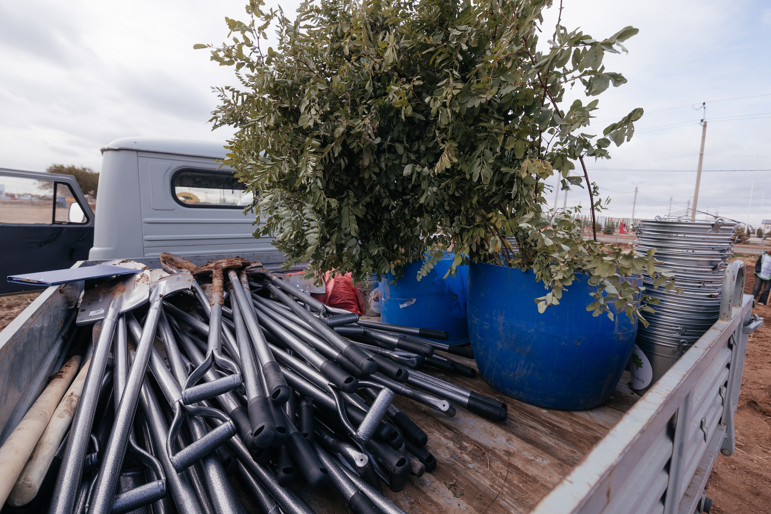 Сохраним лес. Фотограф Крохин Олег