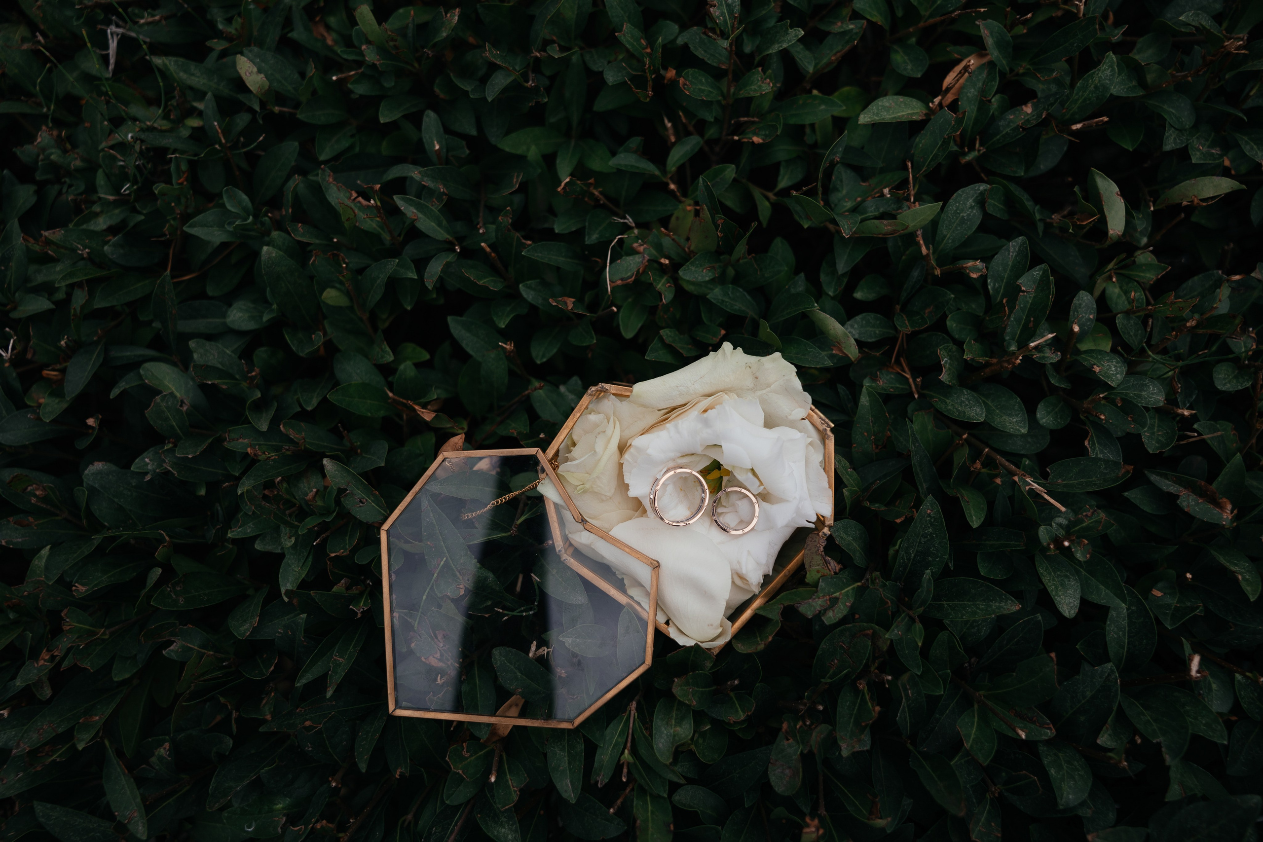 Кирил и Марина. Фотограф Крохин Олег