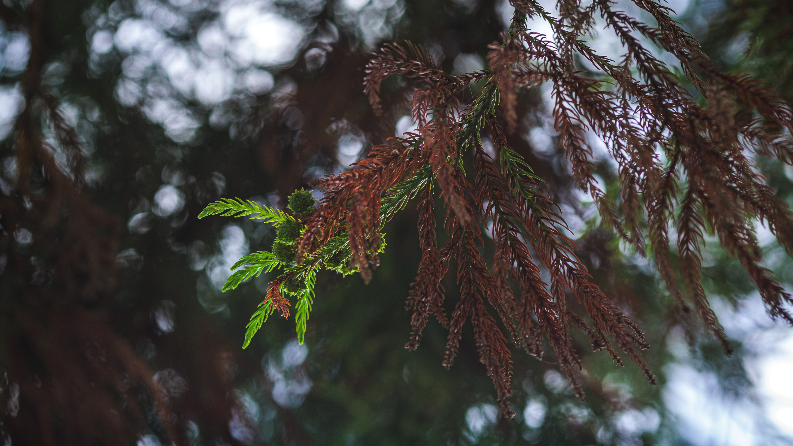 Сток. Сайт о фотографии, Москва
