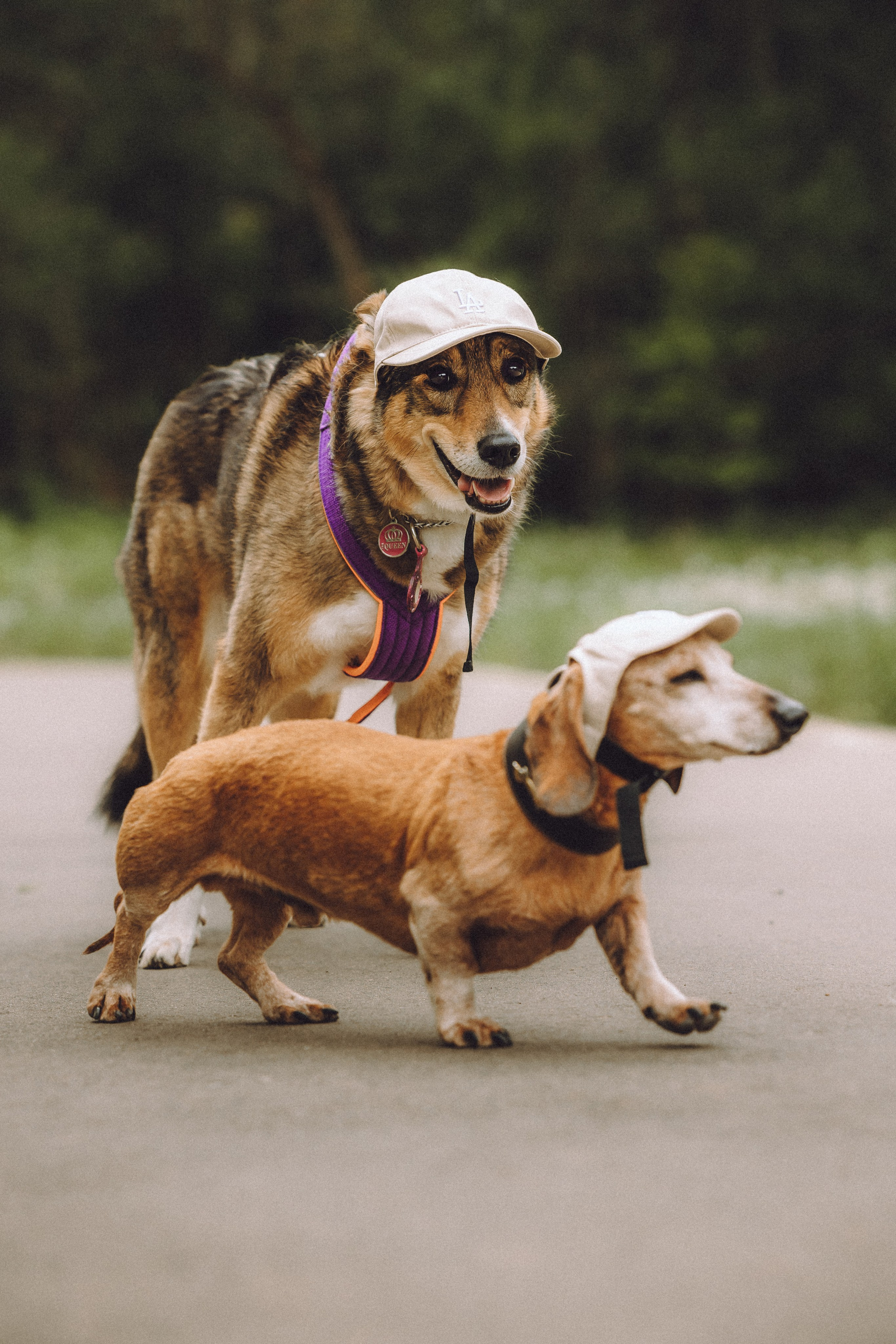 Груша, Данни, Фунтик и их семья