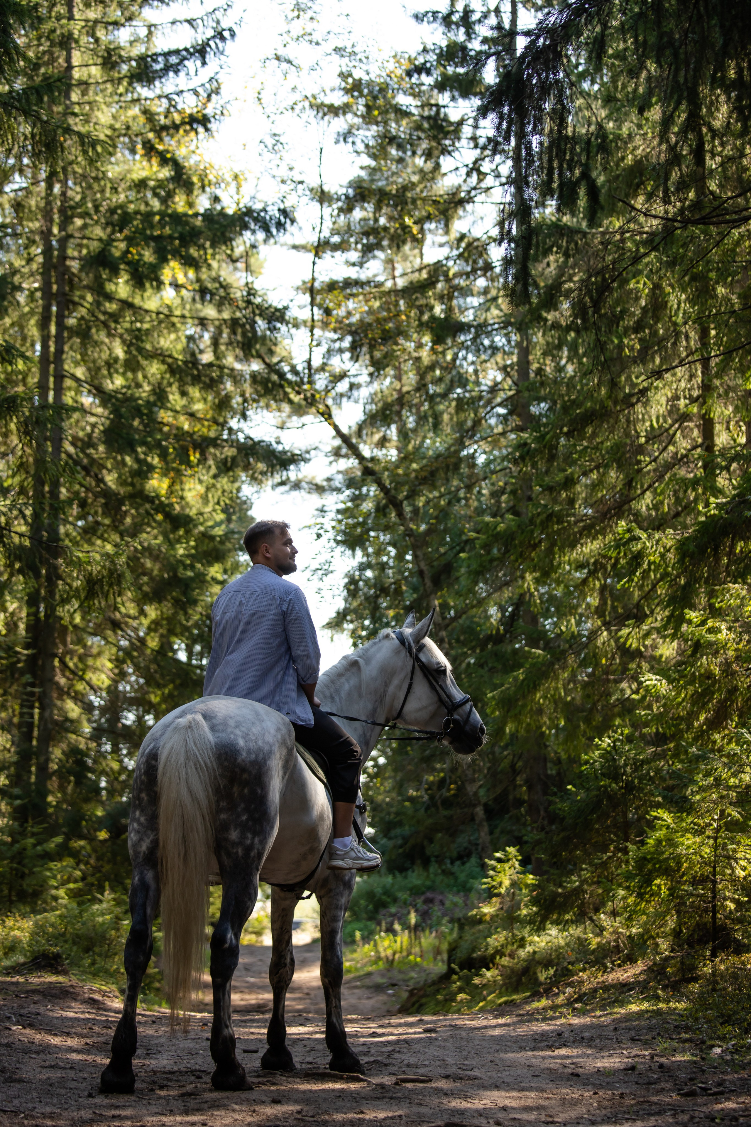 Фотопрогулки с Рич Бич. Конный фотограф в Санкт-Петербурге Анна Лебедева