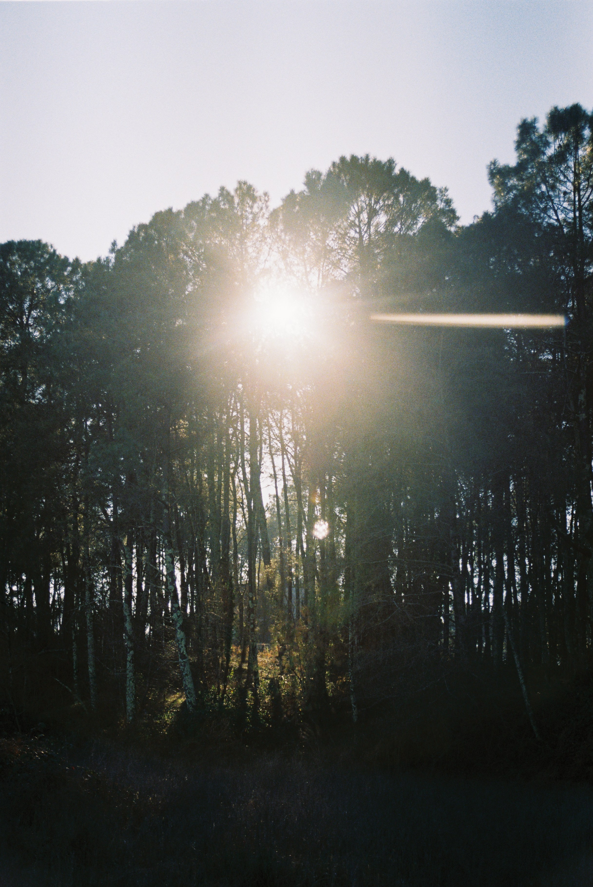 ON THE GO. Сocoobird || Атмосфера твоего бренда в снимках и видео