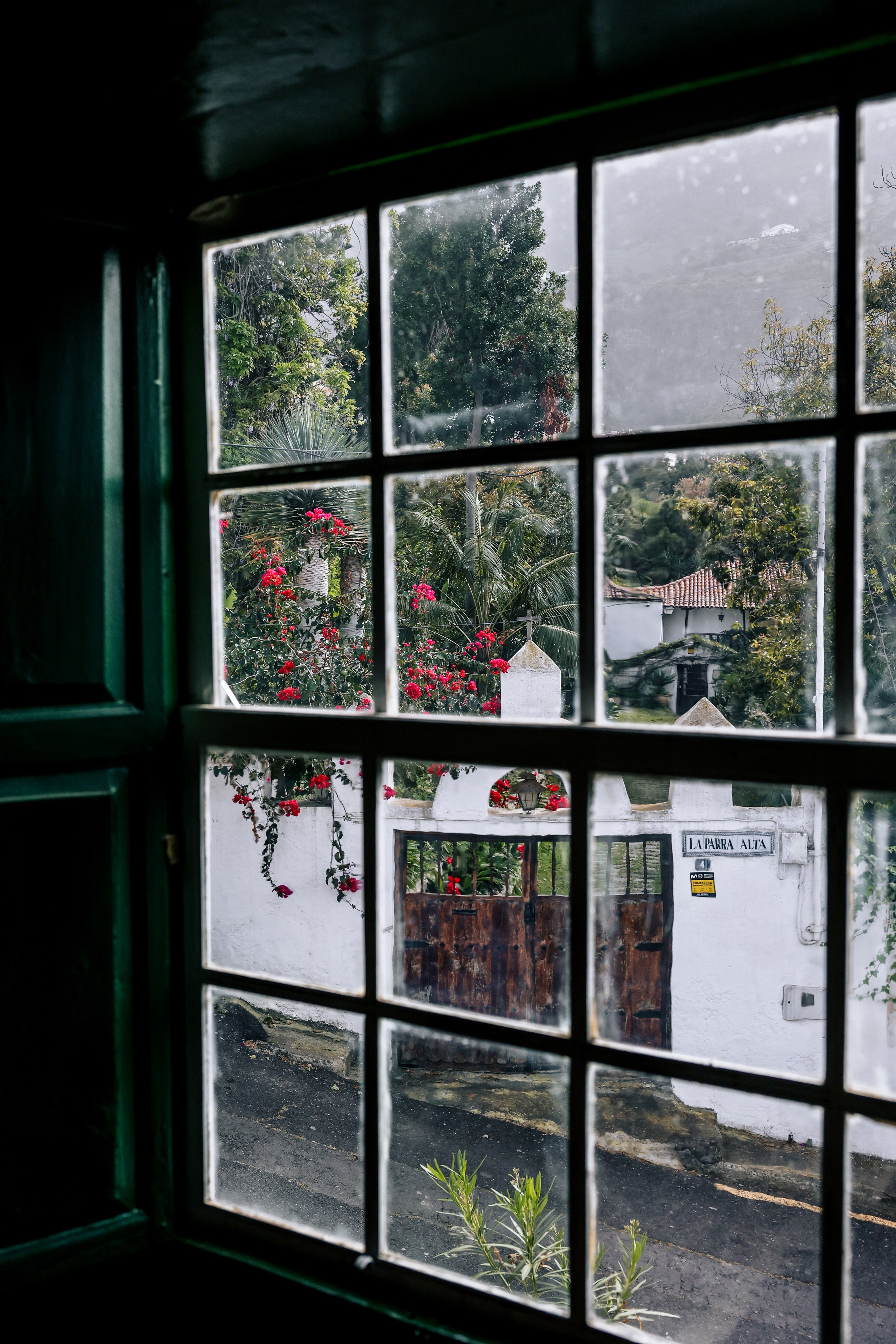 Emblemática Los Helechos. Фотограф Виктория Волкова. Москва