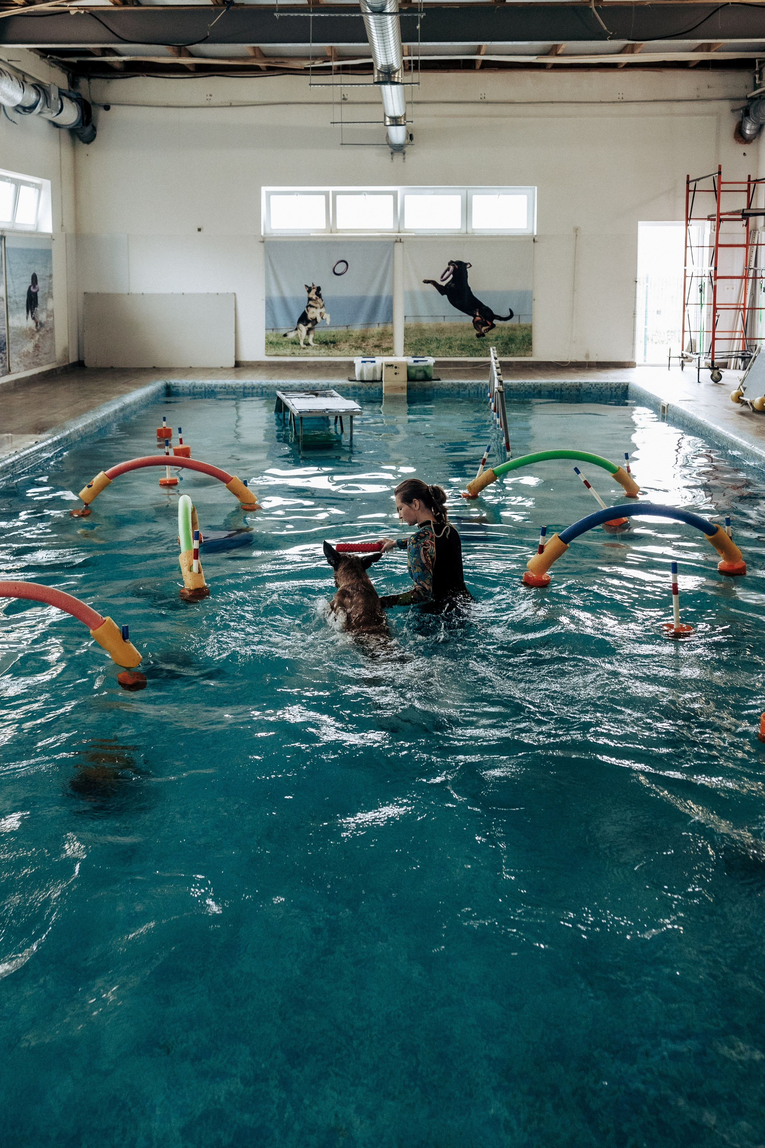 Репортажная фотосессия «День питомца-донора». Профессиональный фотограф в Санкт-Петербурге Александр Волосенцев