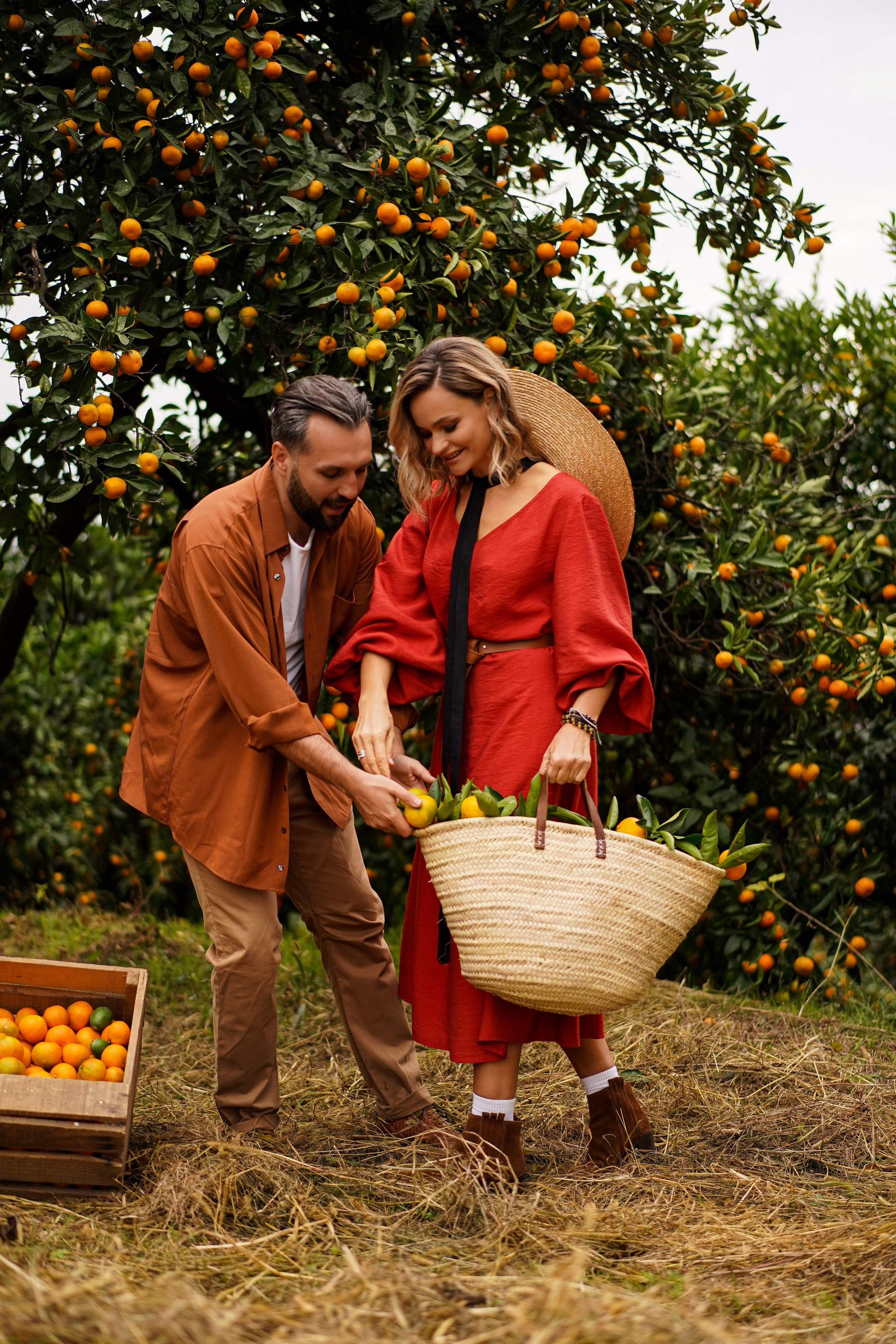 Lovestory на плантации с мандаринами в Абхазии. Фотограф Москва и Видеограф Москва
