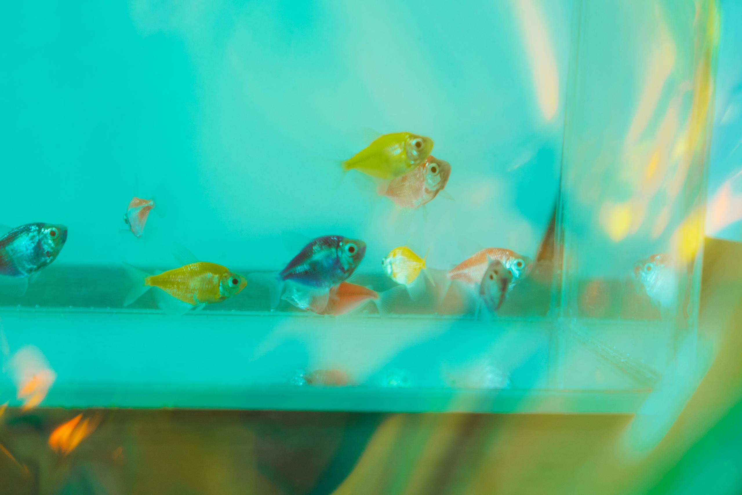 Александра. Женский фотограф в Москве Анастасия Сидорова