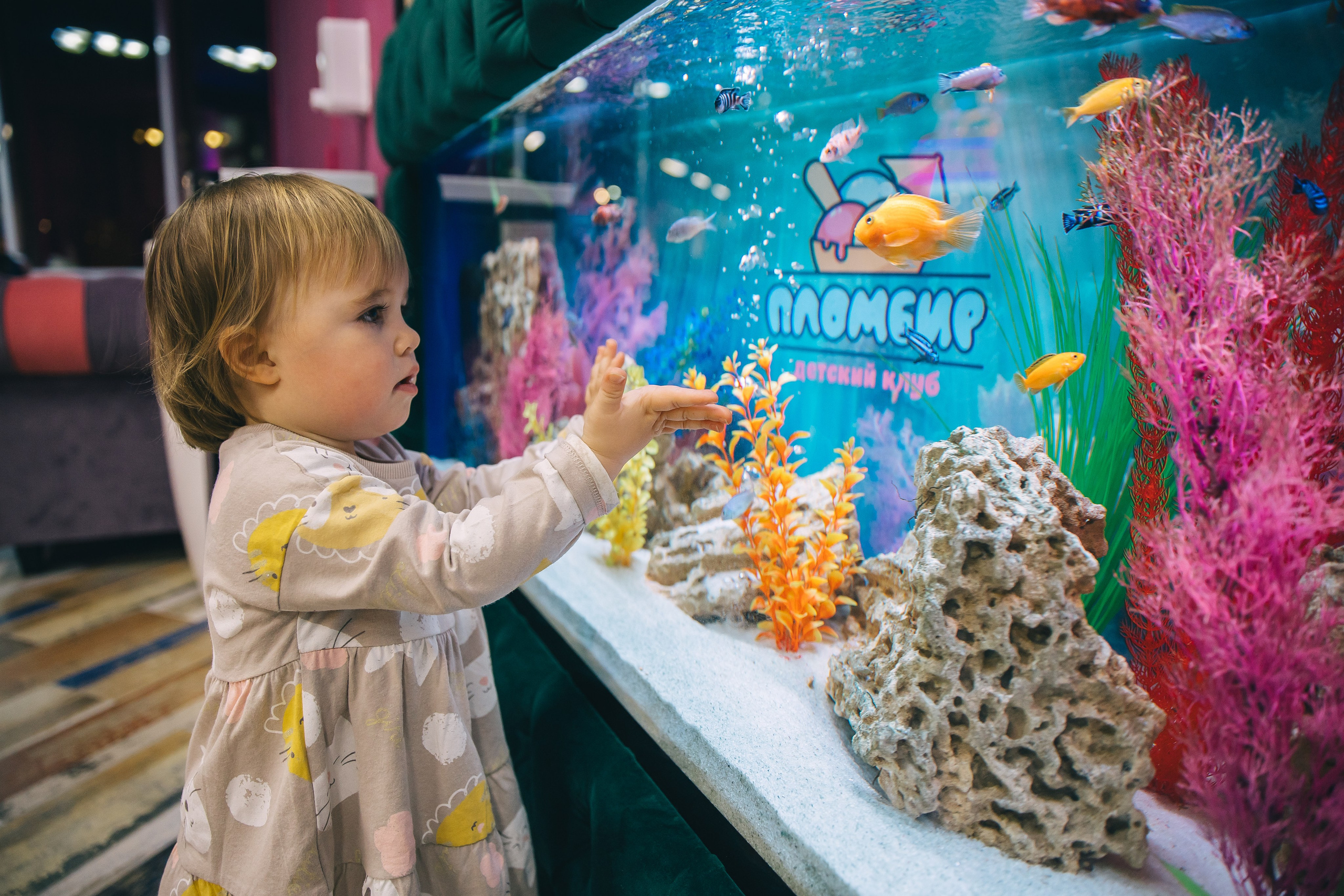 Александре 2 годика. Свадебный фотограф, Екатерина Малова. Фотосессии. Съемка в Спб и ЛО