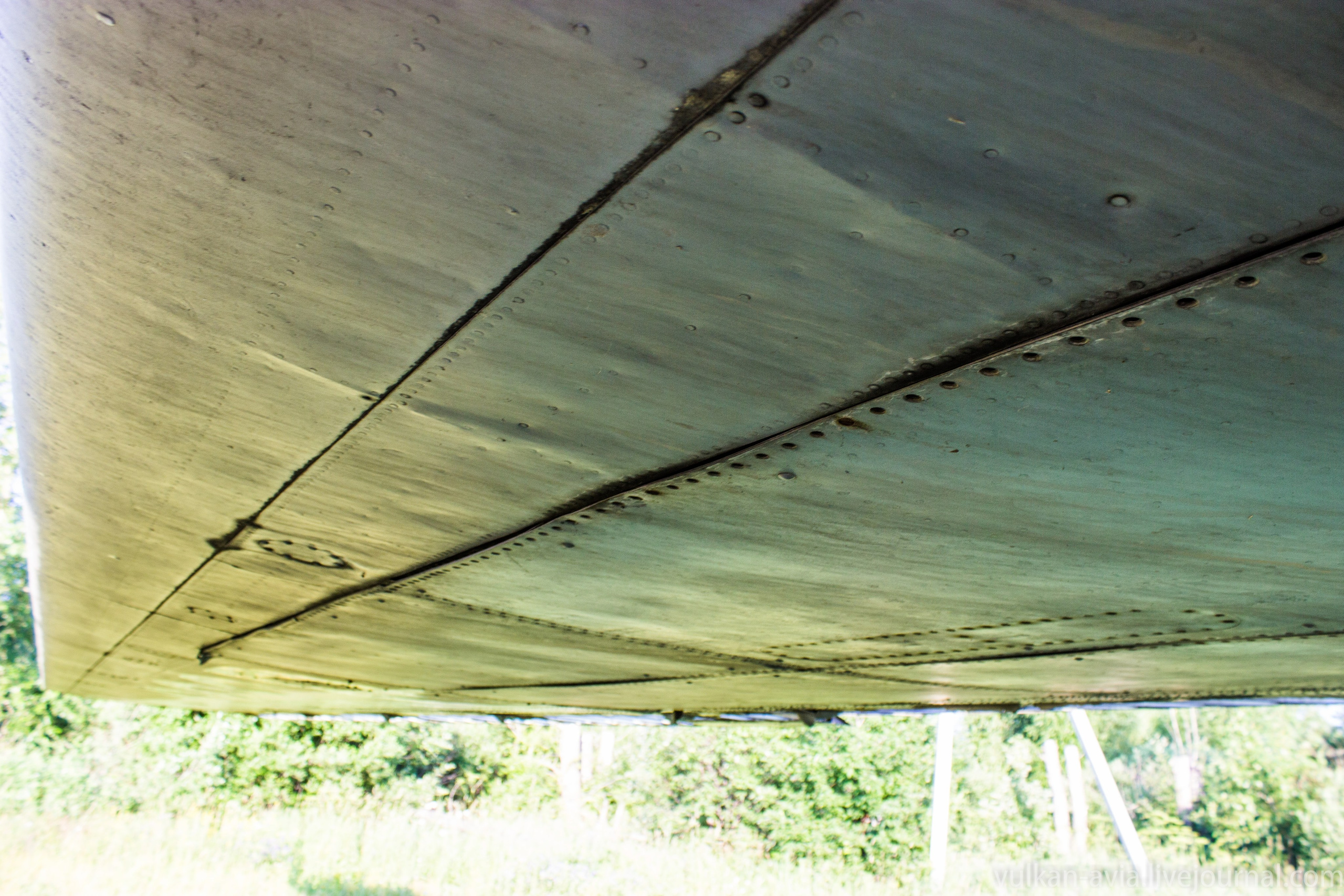 Ил-14 (Пермь, Фролы). Фотоальбом показывающий увлекательный мир авиации и мир медведей Андрея Иванова